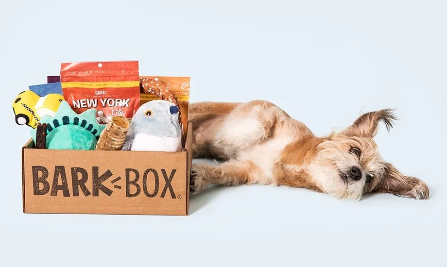 barkboxproduct.jpeg