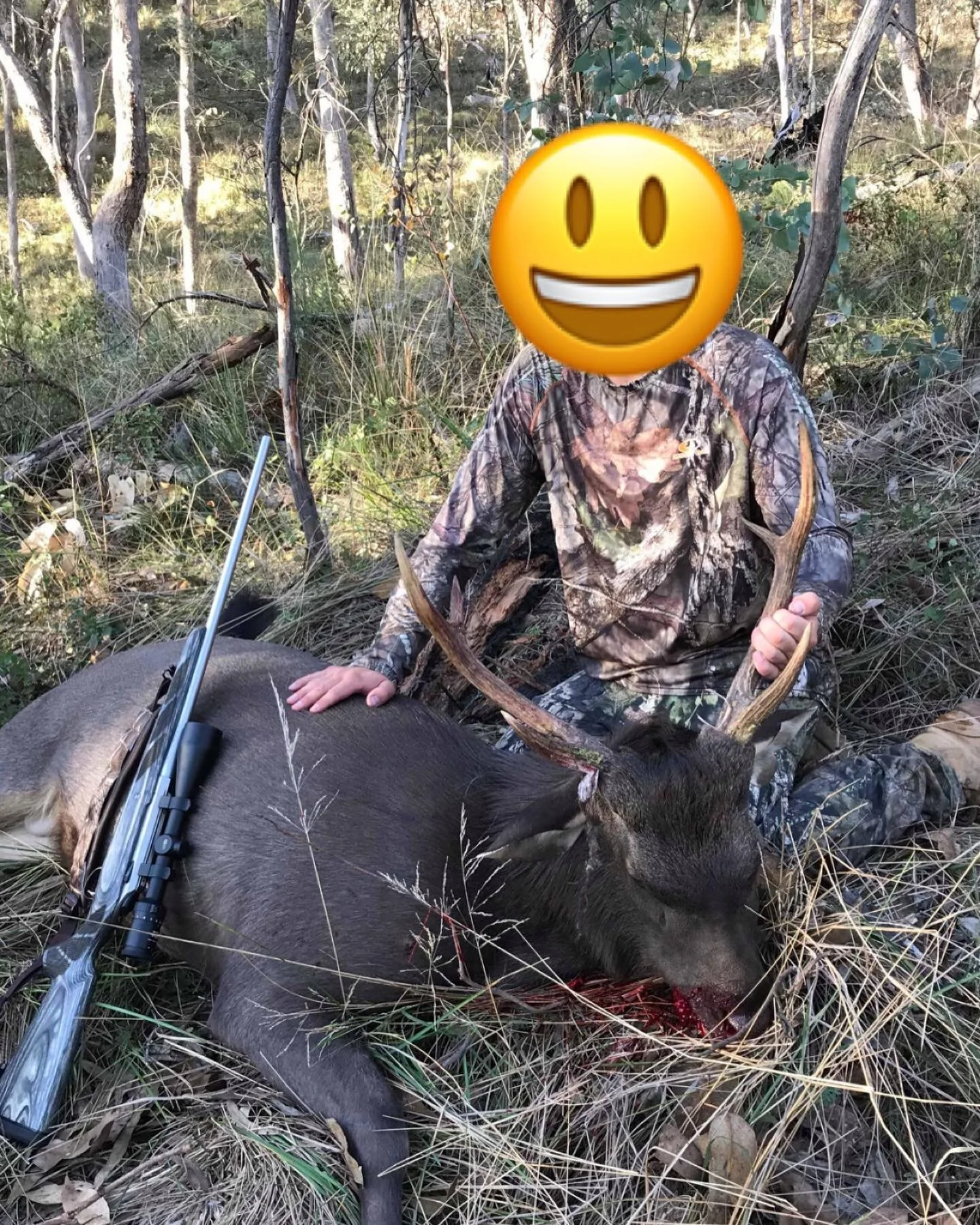 200gr sorted this little guy out. •
•
•
#tikkat3 #300winmag #huntingaustralia #huntingvictoria #camping #sambar #sambardeeraustralia @wilddeermag @sportingshootermag