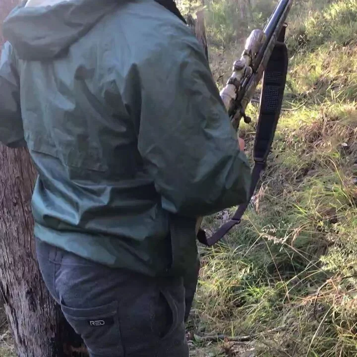 Good shot on his first sambar. Frosty morning got him a nice little spiker π² #huntingvictoria #huntingaustralia #deerhunting #sambar #marlin #308 @wilddeermag @sportingshootermag