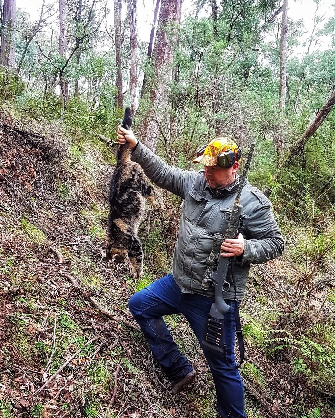 Took a mate out last year stalking sambar, came across this big boyπ¦ #remington700 #308 #huntingaustralia #huntingvictoria #camping #feralcat @wilddeermag @sportingshootermag
