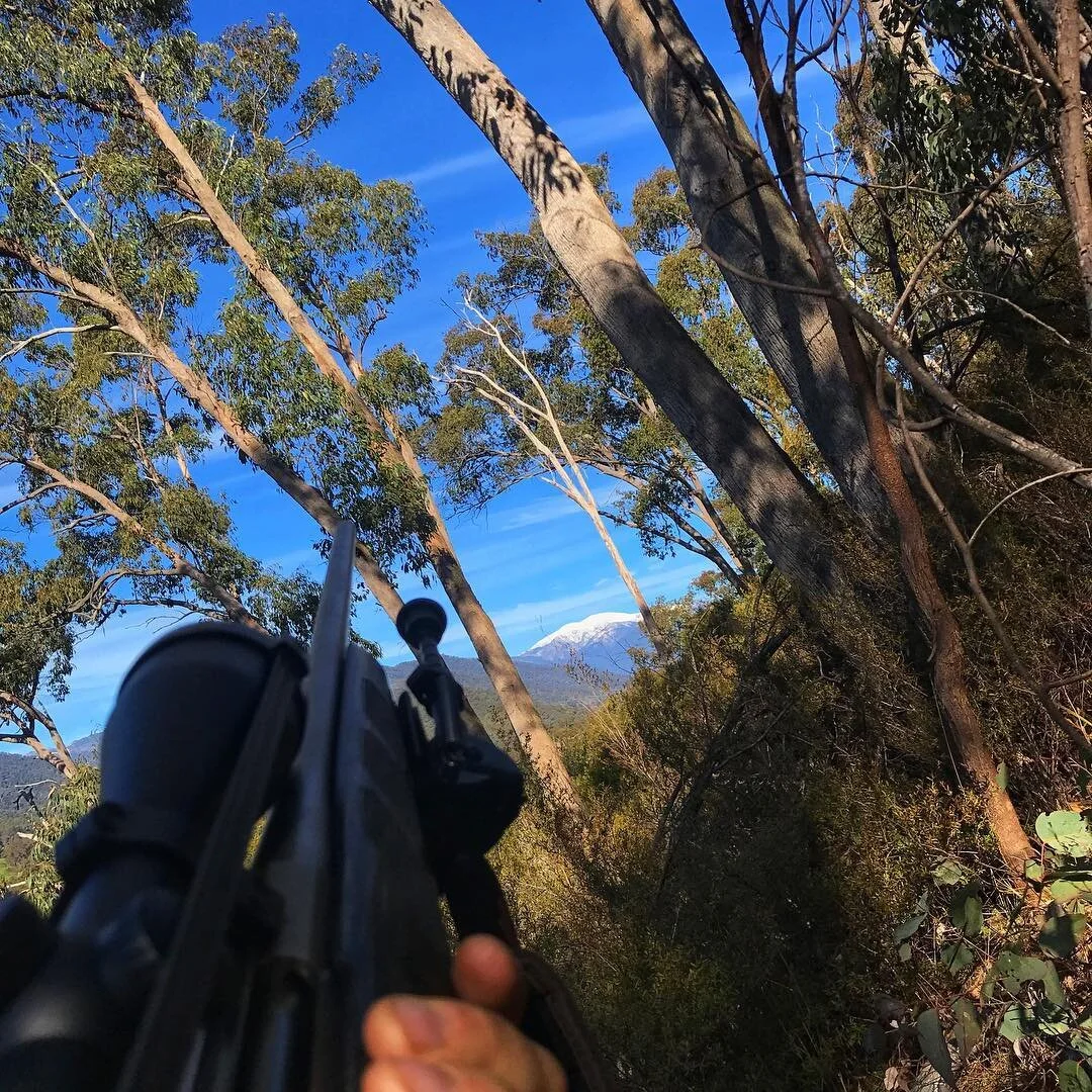 Perfect conditions for hunting! #huntingaustralia #alpine #tikkat3 #300winmag #sambarhunting #mtfeathertop #camping #4wdaustralia