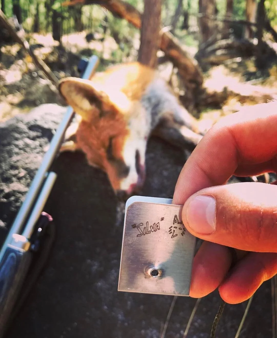 Make them come to you ππ¦ #huntingaustralia #3030marlin #silvafoxwhistle #camping #countrylife