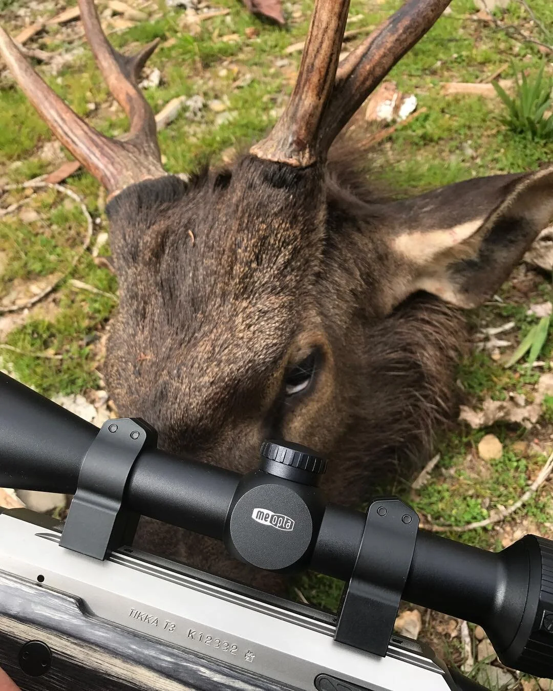 Hunting in the Alps β
 #tikka #meopta #hornady #300winmag #sambarhunting #alpine #huntingaustralia #campingaustralia #shooting @tikkafirearms @hornadymfg @meoptaoptika @sportingshootermag @mossyoak