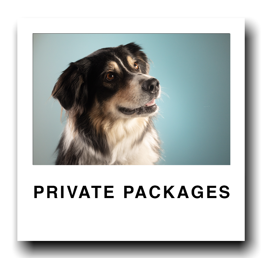 A dog with black, brown, and white fur looking to the side, with the words 'PRIVATE PACKAGES' written below.