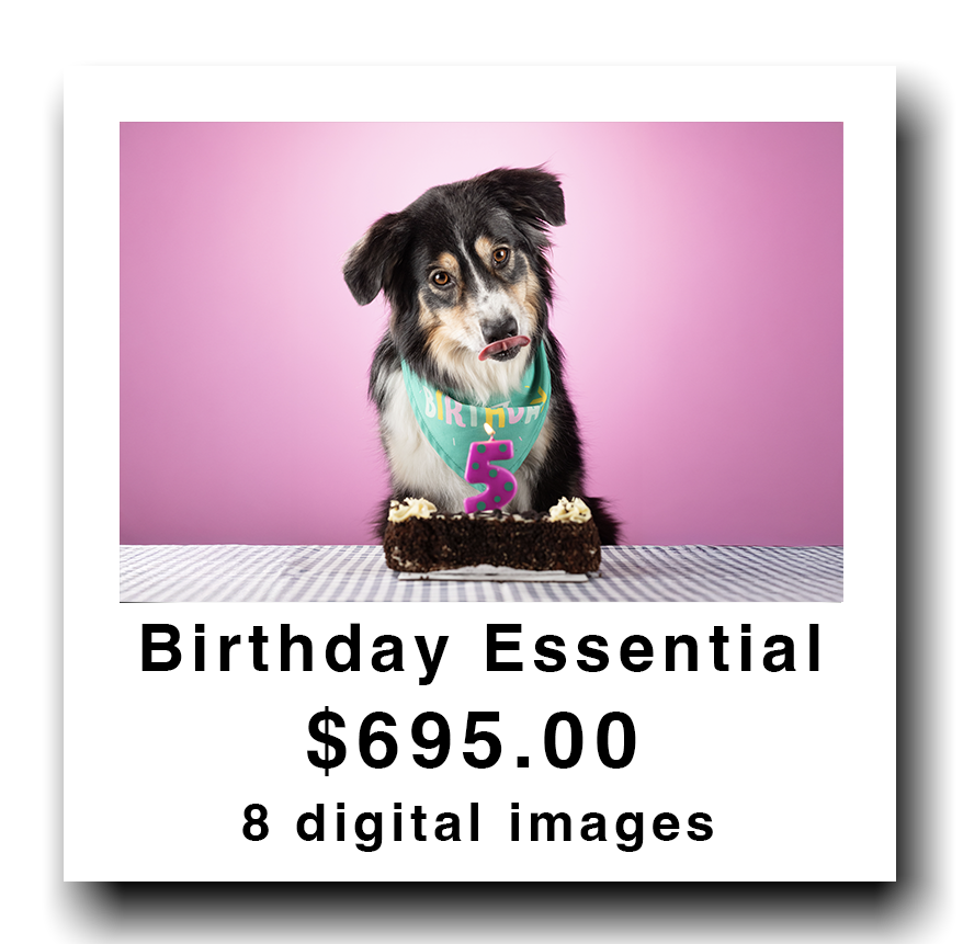 A dog with a birthday hat and a '5' candle on a birthday cake, in front of a pink background.