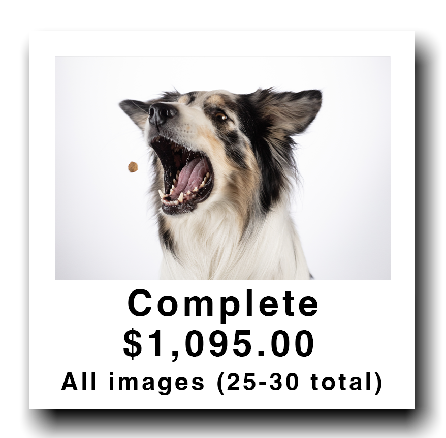 Photo of a dog with an open mouth, appearing to catch a treat in mid-air, against a white background.