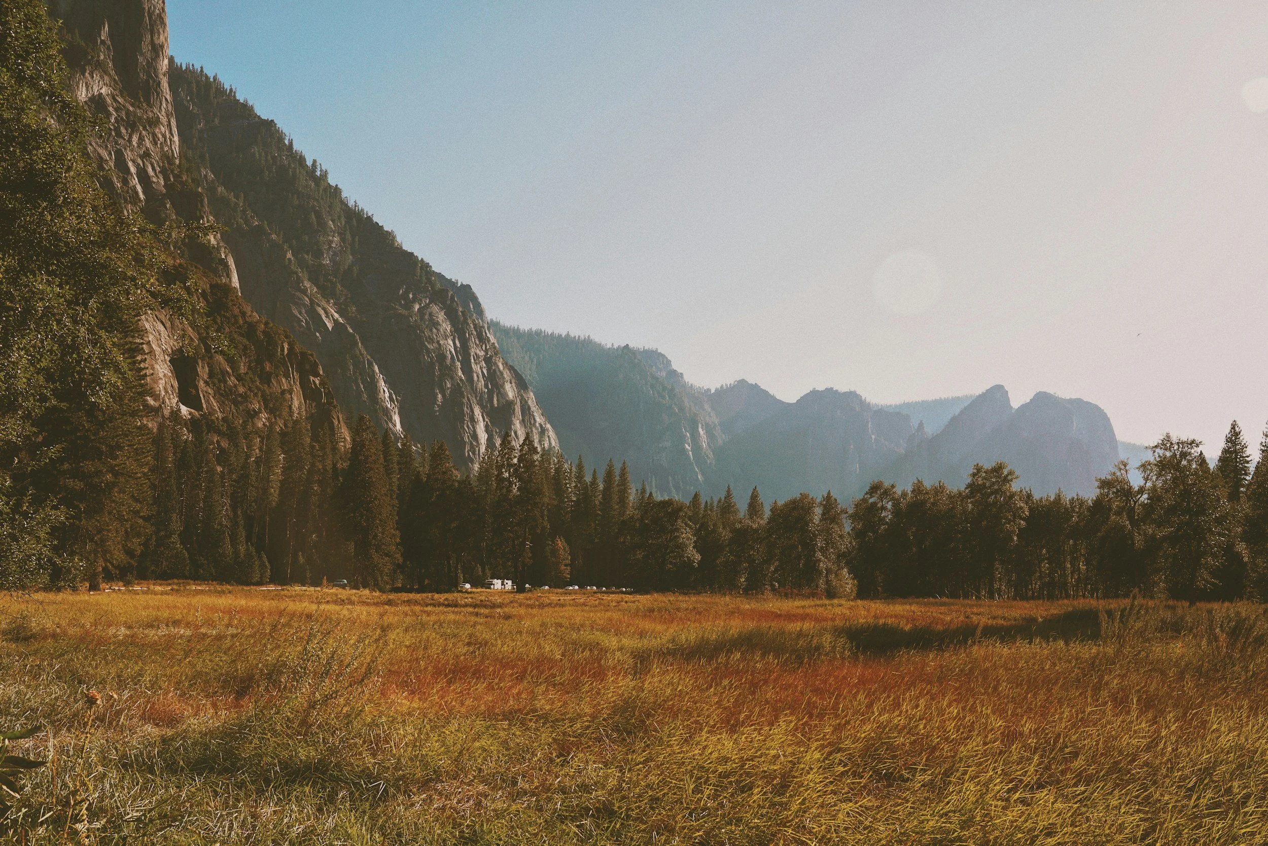 The Art of Letting Go: Welcoming the Metal Element in Autumn