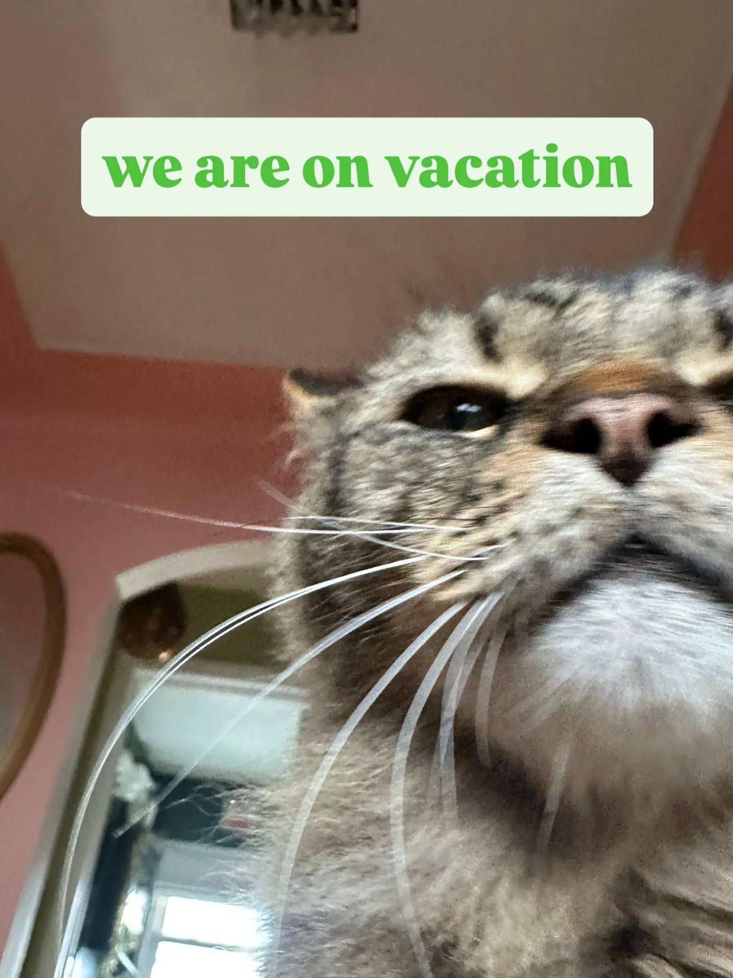 we&rsquo;re taking two weeks off to rest and recharge.

we can&rsquo;t thank everyone who shared an amazing summer with us enough. to all the farmers, crafters, food eaters, and friends, we&rsquo;re happy and proud to be a part of this community.

re