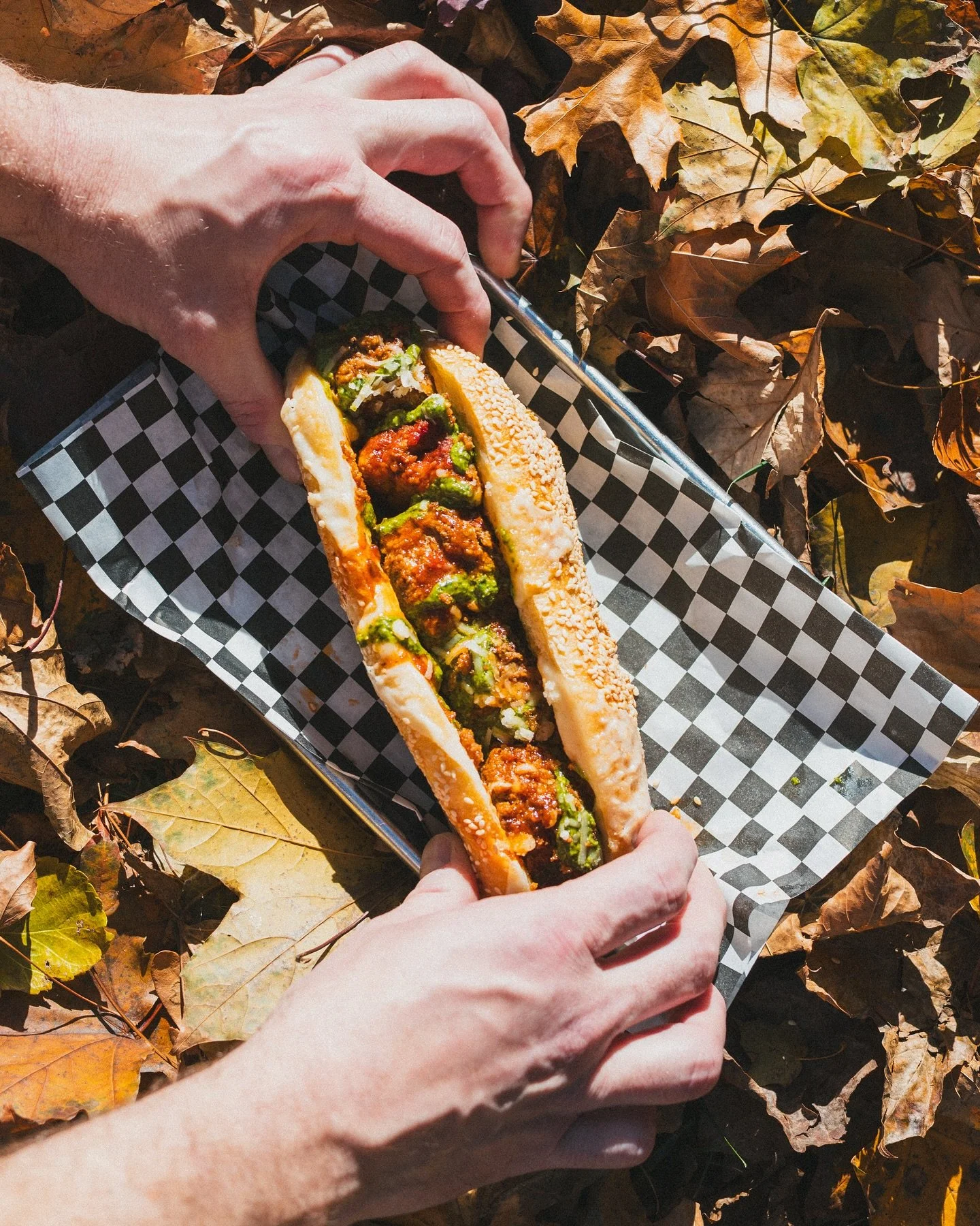 WE GOT A MEATBALL SUB OVER HERE