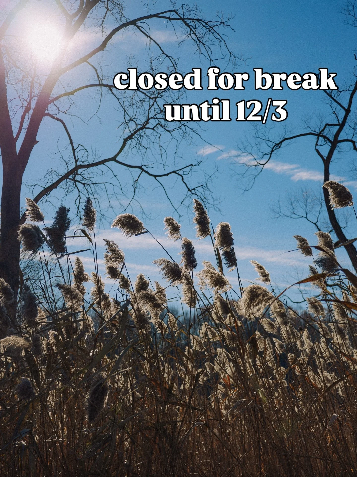 we&rsquo;re taking the week off. see ya next wednesday ✌️