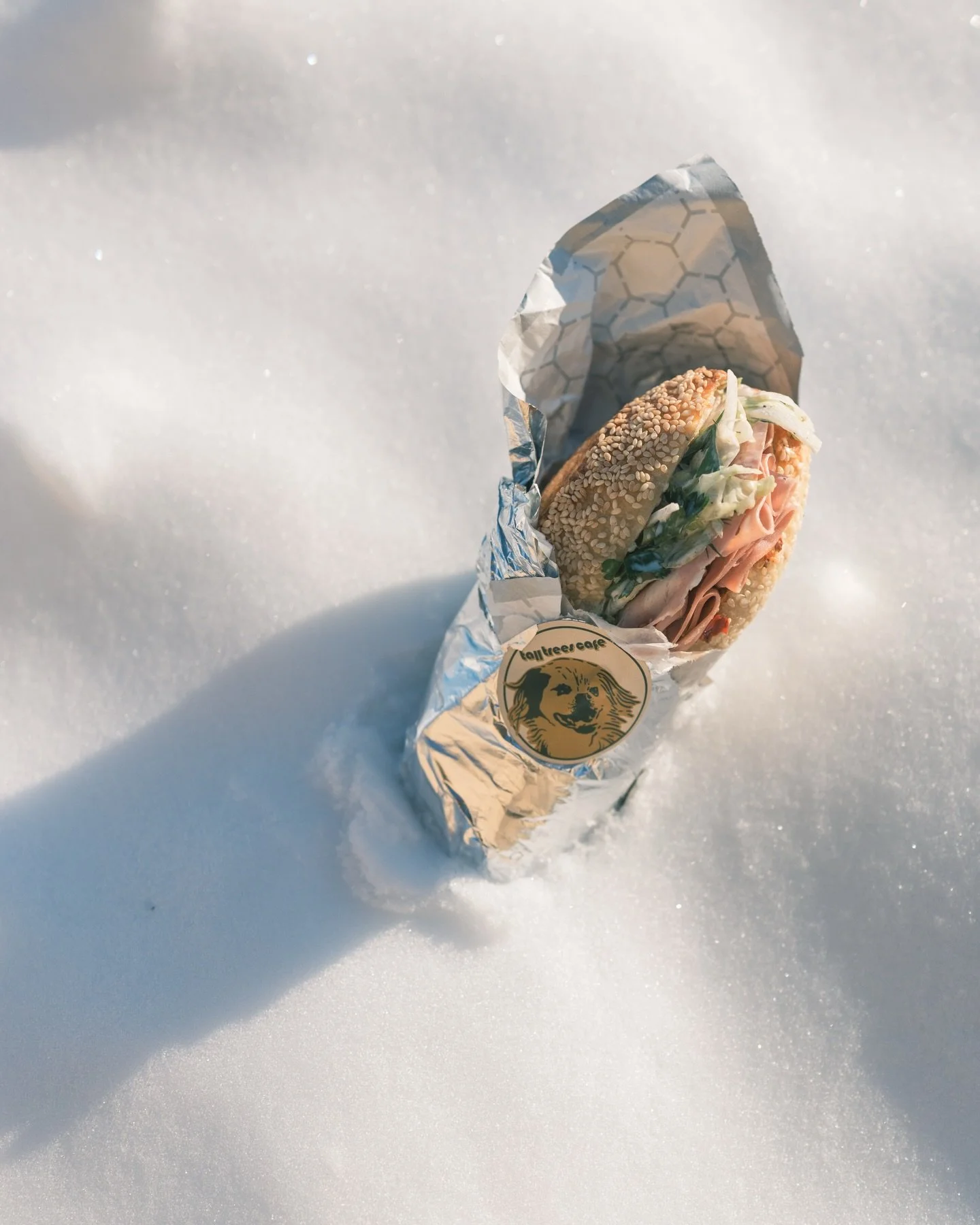 closed this week for a midwinter break

reopening thursday 2/12