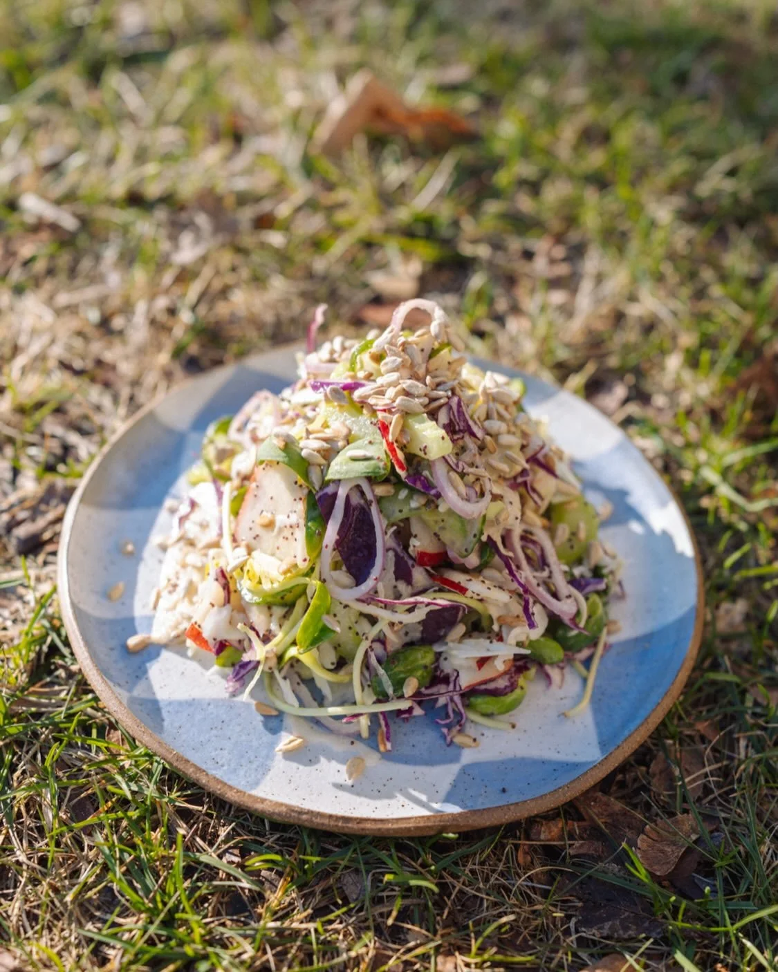 slavic girl salad

red &amp; green cabbage w brined cucumber, pears, sunflower seeds n sprouts, and poppy seed vinaigrette

made for you for lunch by @sexysexist