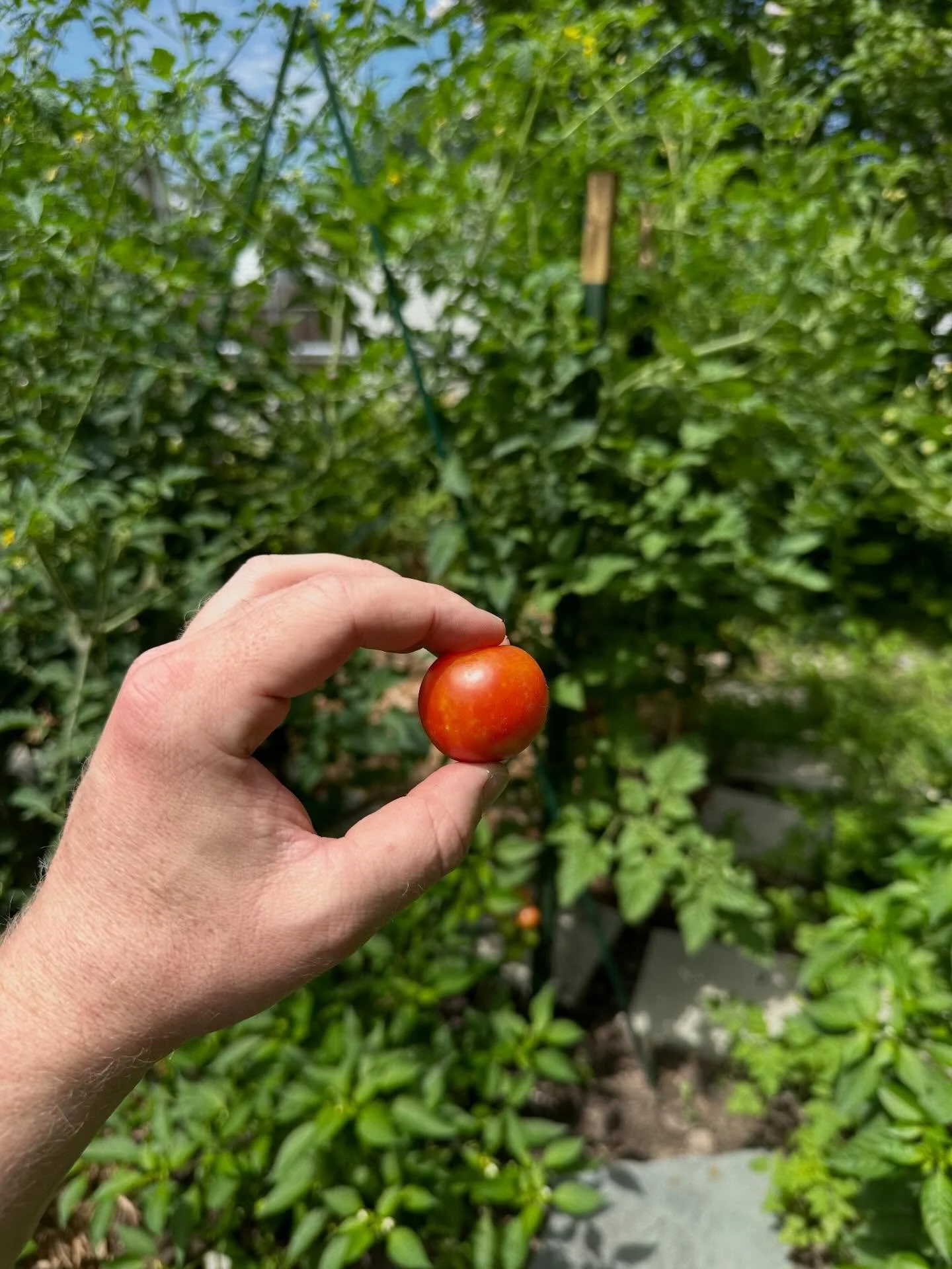 hey farmers!

if you&rsquo;re a grower / producer here in se Michigan and looking to sell this season, we want to work with you.

acquisitions, mergers, scaling, corporate-engineered wars - it all means that we&rsquo;ll have fewer and worse choices a