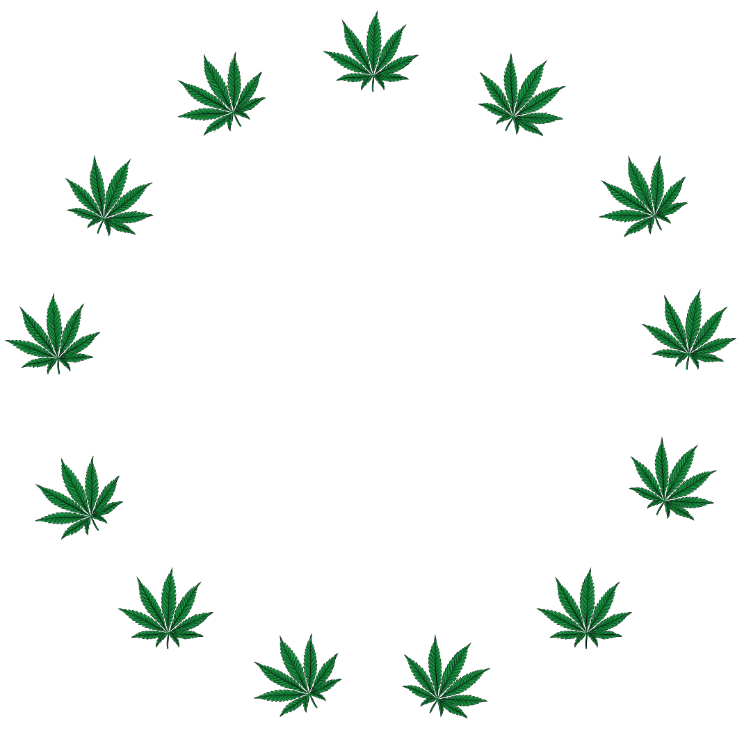 Philly Cannabis Festival