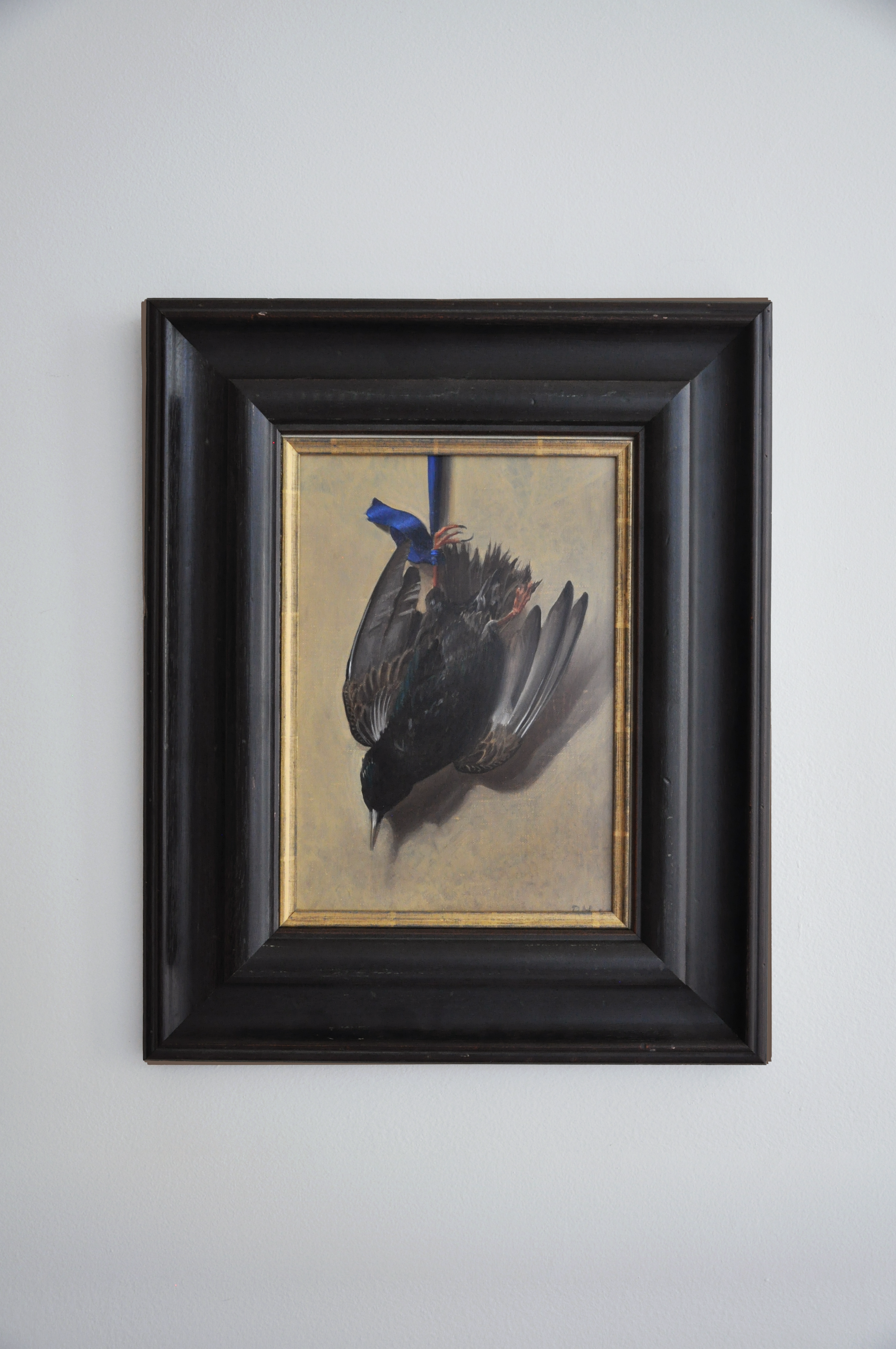 Paul Magendie (French, 1978-Present), Blue Ribbon Pigeon, Oil on Canvas, 15.5" x 19"