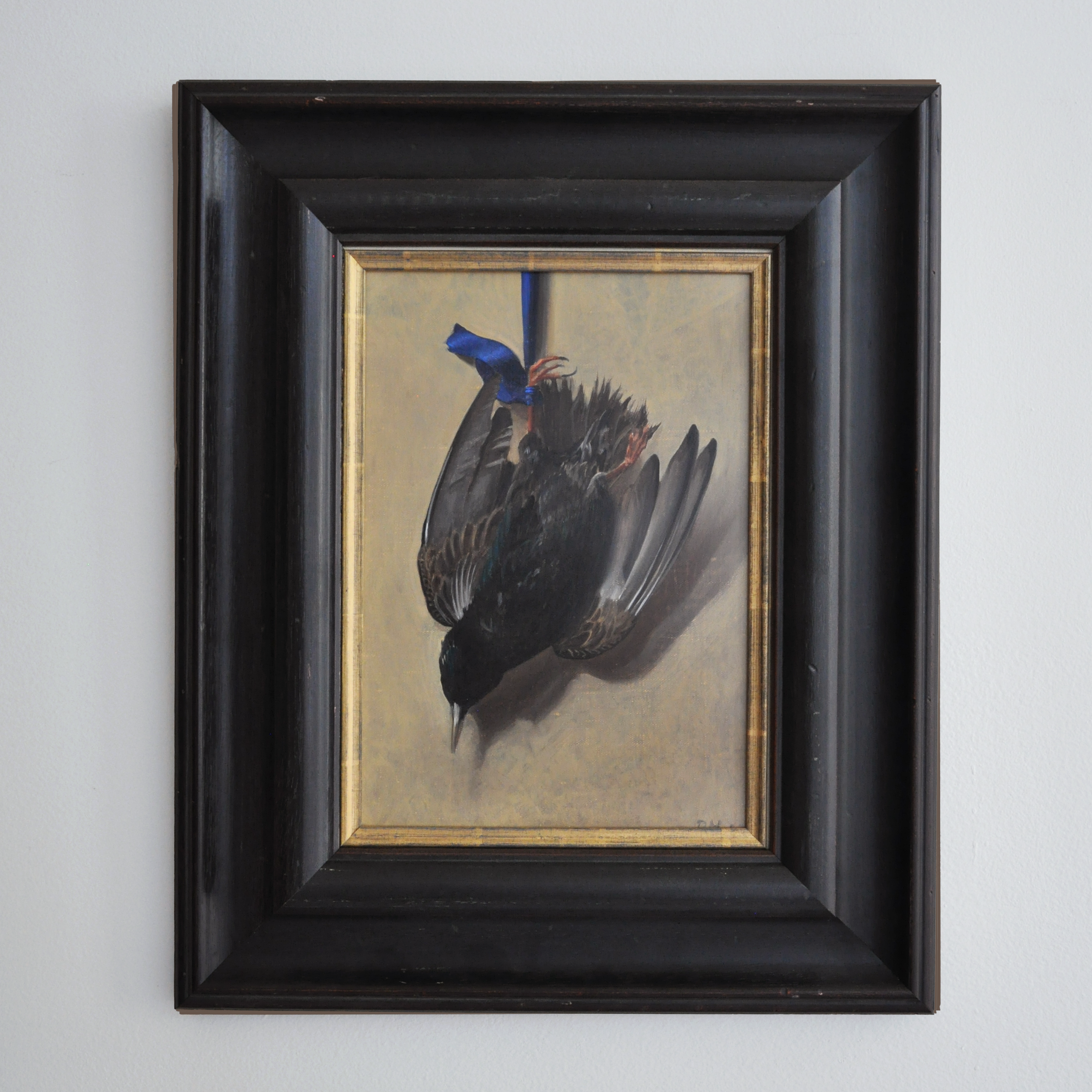 Paul Magendie Main Image.png