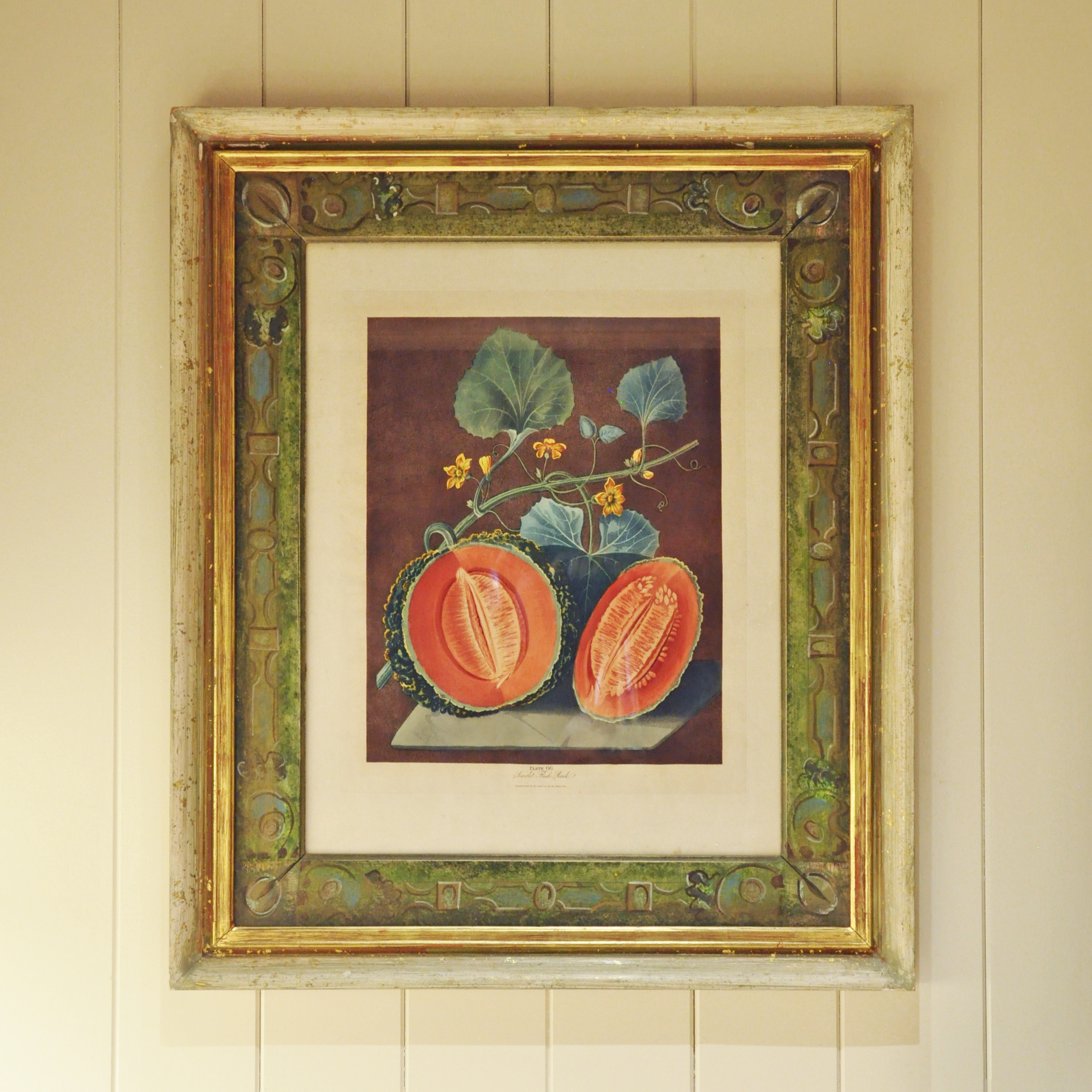 George Brookshaw (British, 1751-1823), Plate 66 - Scarlet Flesh Rock Melons