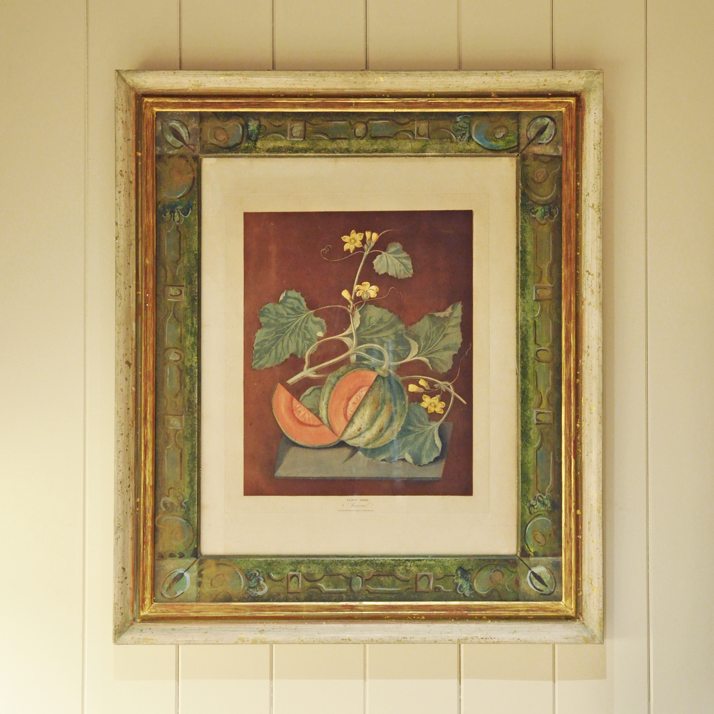 George Brookshaw (British, 1751-1823), Plate 72 - Amicua