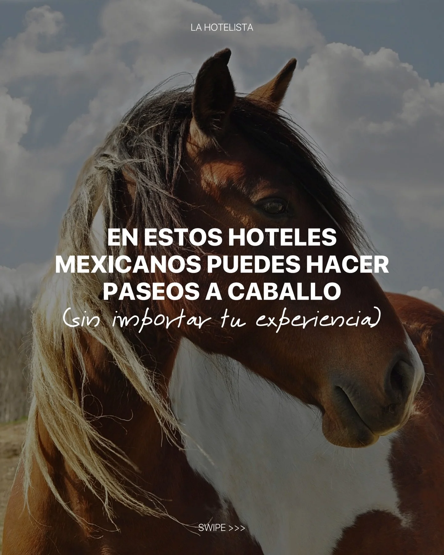 Descubrir los paisajes de M&eacute;xico a caballo es una de las actividades m&aacute;s inspiradoras y relajantes. Estos hoteles lo hacen posible.