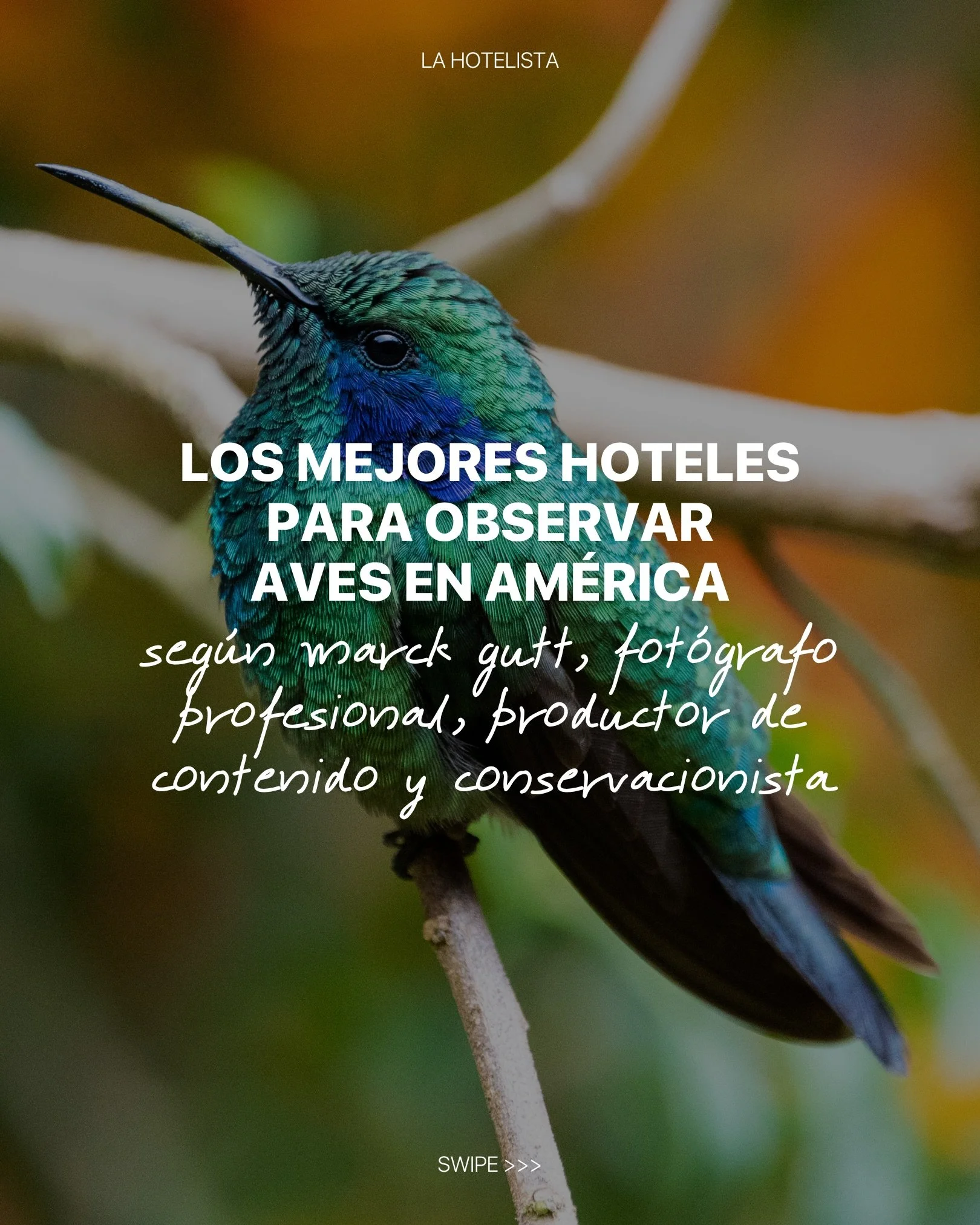 Marck Gutt es uno de nuestros viajeros y hotelistas consentidos. Apasionado de la naturaleza (y especialmente de la observaci&oacute;n de aves), hace magia con su c&aacute;mara en cada viaje. 

Gracias por compartir con nosotras esta gran selecci&oac