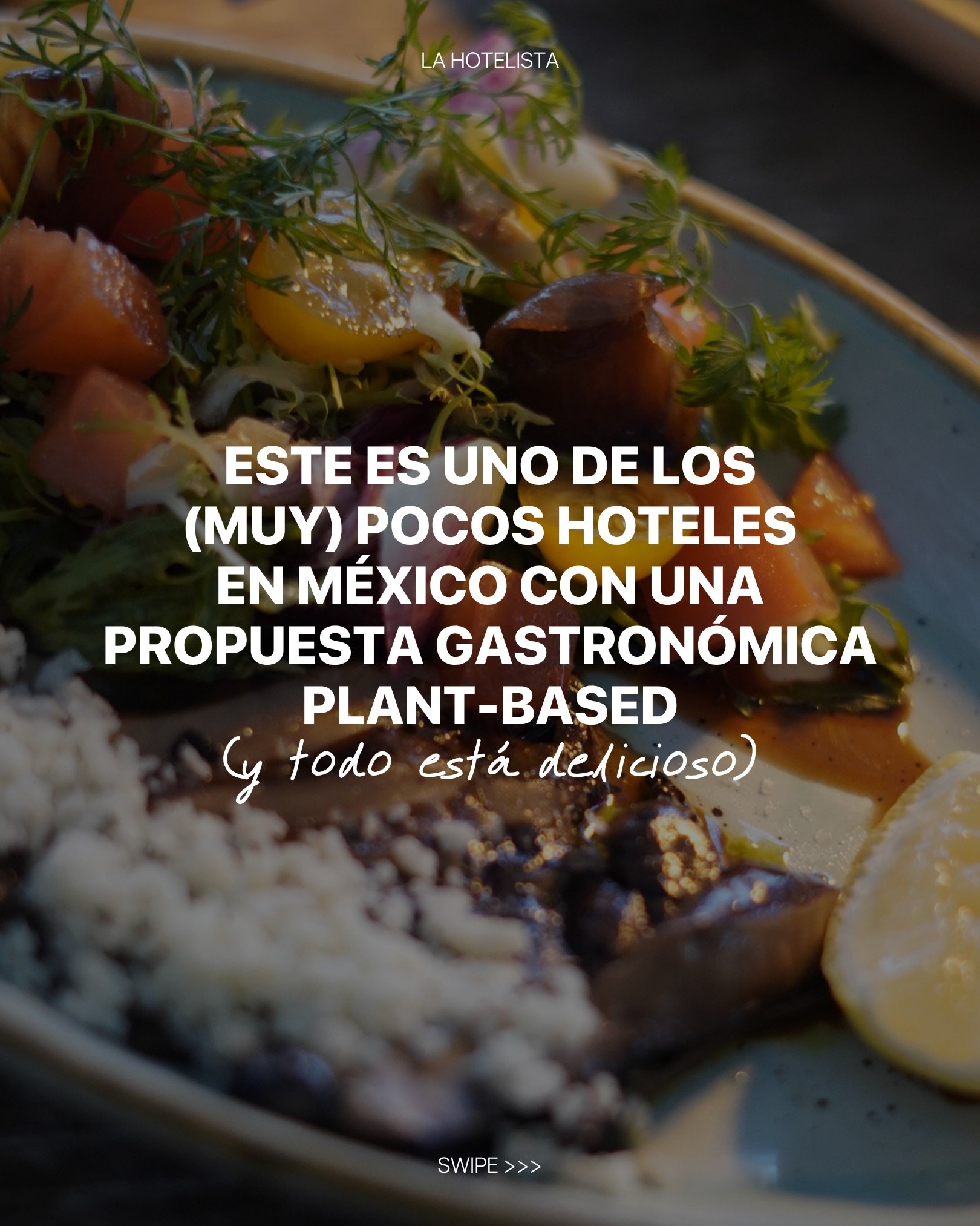 La misi&oacute;n de @thehouseofaia es clara: un escape para nutrir el esp&iacute;ritu, el cuerpo y el alma. Su cocina, construida sobre la filosof&iacute;a plant-based, es parte esencial de la experiencia, y lo comprobamos con cada plato que probamos