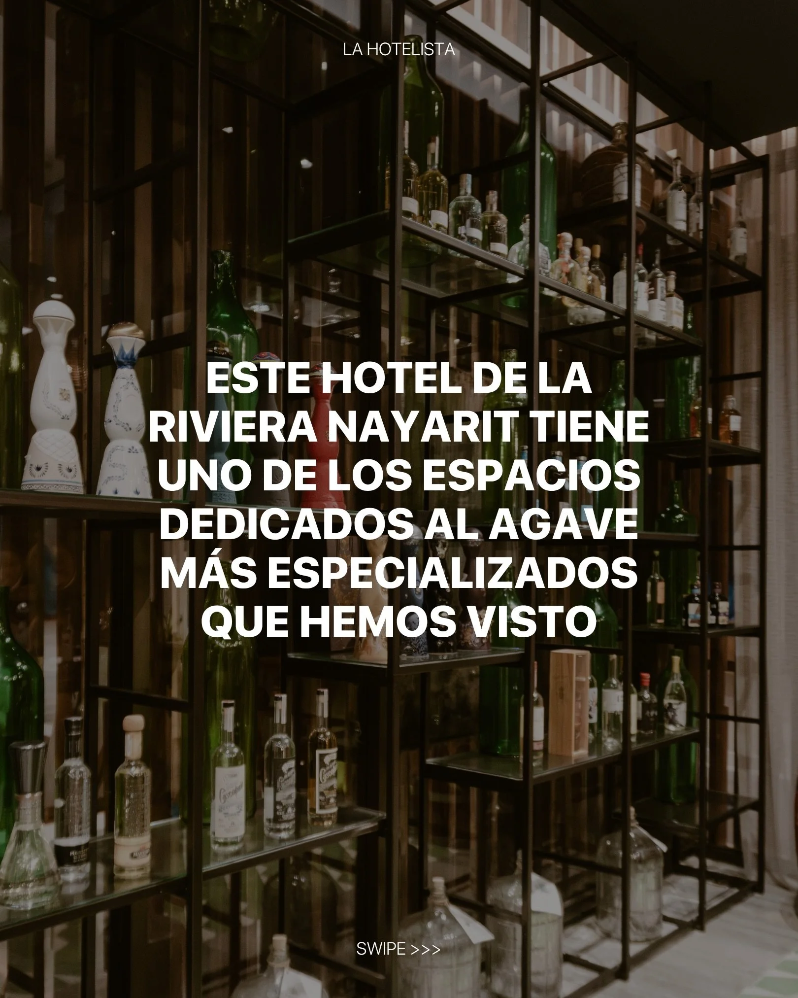Qu&eacute; bonito encontrarnos lugares y personas con tanta pasi&oacute;n por compartir lo mexicano. El Agave Studio de @conradpuntademita es un gran representante de la cultura agavera de nuestro pa&iacute;s. Y as&iacute; como dice Sa&uacute;l, &ldq