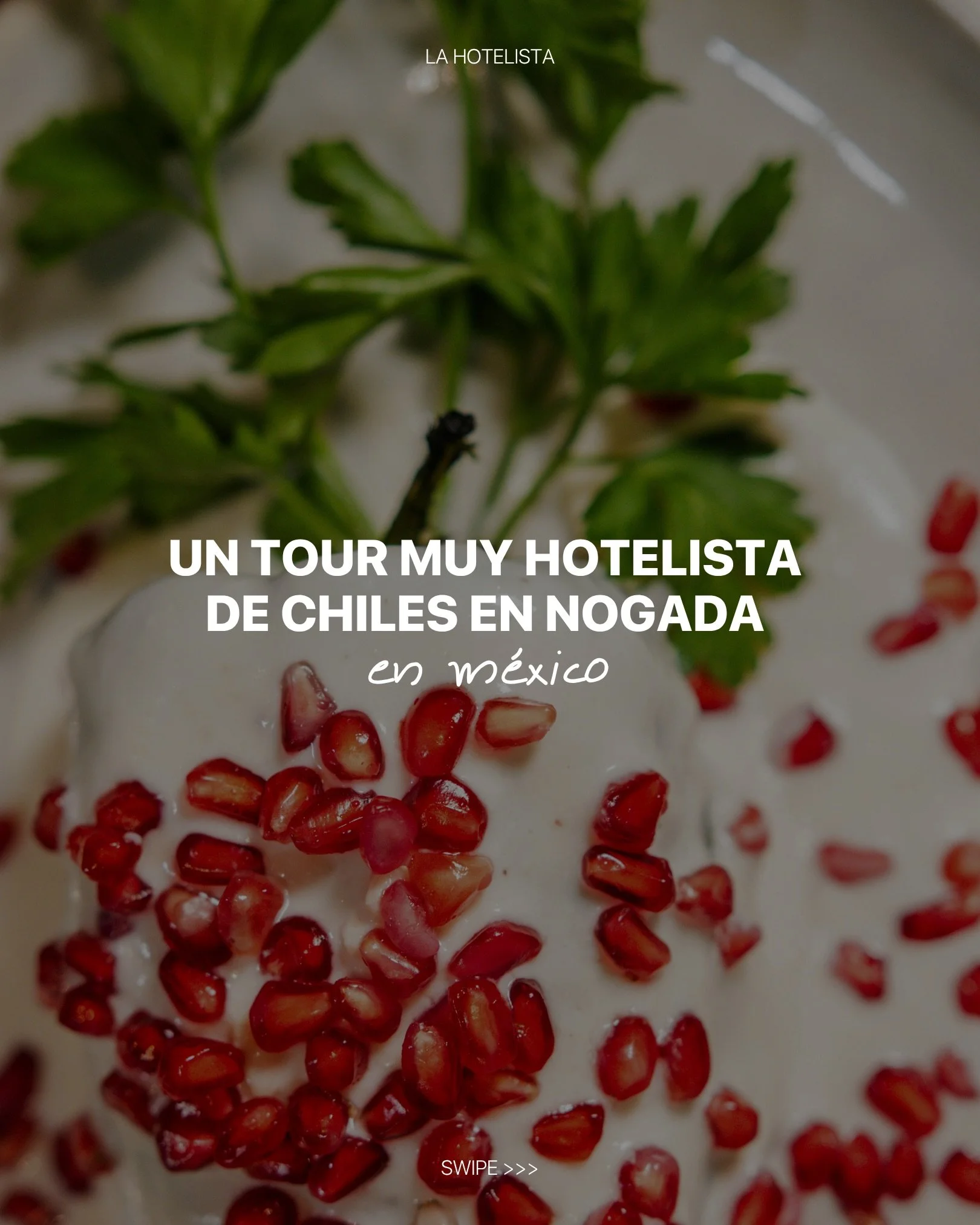 Septiembre llega con una misi&oacute;n: encontrar el chile en nogada m&aacute;s memorable de la temporada. En estos hoteles seguro encuentras sabores dignos de recordar. 

Puebla:
@casareynapuebla
@lapurificadora
@hotelquintarealpuebla
@banyantreepue