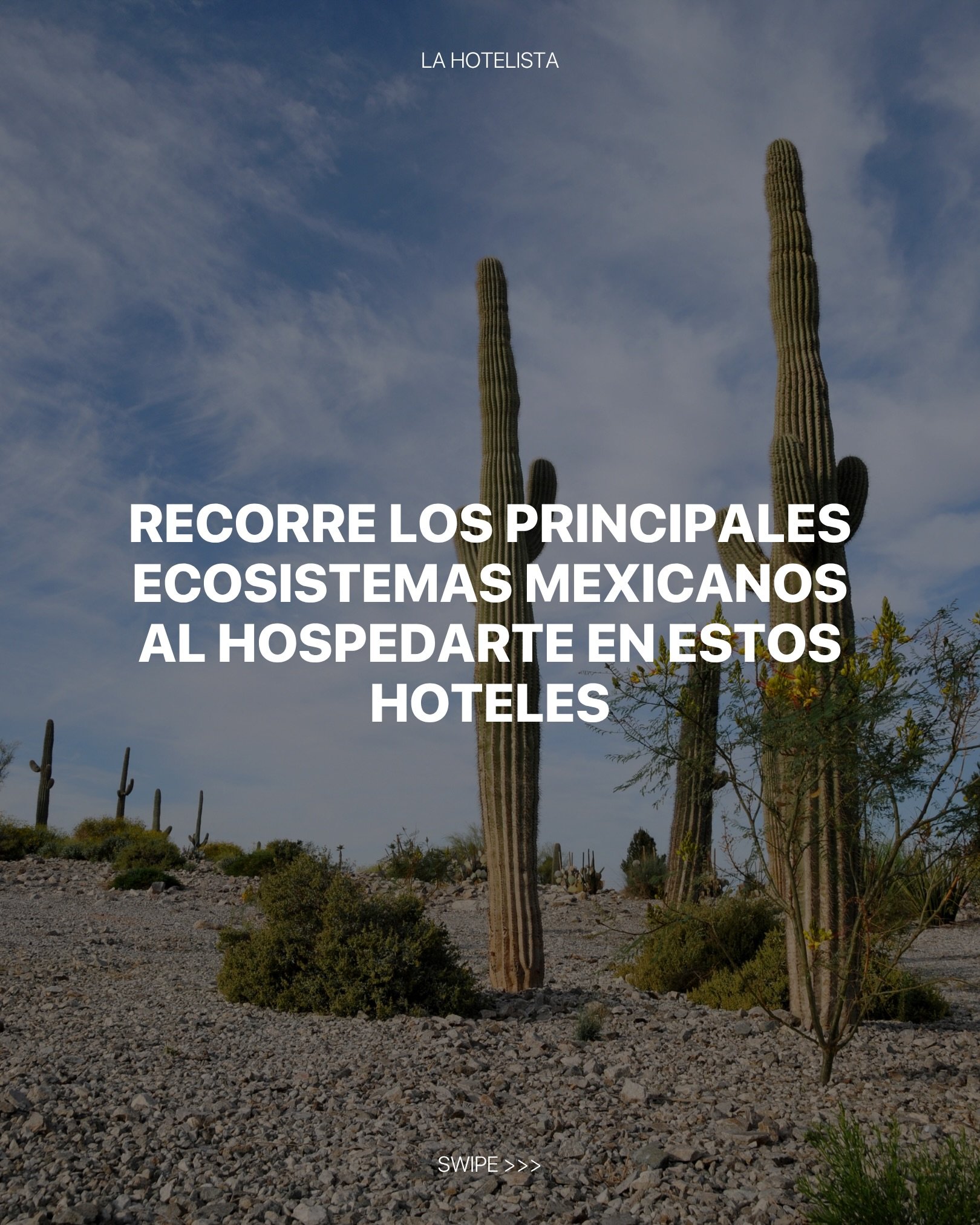 La biodiversidad de M&eacute;xico es de las m&aacute;s variadas del mundo. De acuerdo a la clasificaci&oacute;n de ecosistemas de la @conabiomx, ac&aacute; van tres hoteles para descubrir las diferentes facetas naturales de nuestro pa&iacute;s.