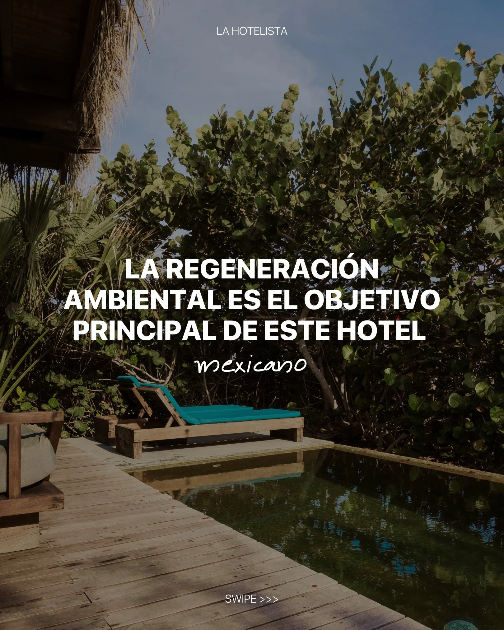 Nos emociona mucho encontrar proyectos como &eacute;ste en M&eacute;xico, con una visi&oacute;n tan clara de c&oacute;mo tener un impacto positivo en el medio ambiente, y donde involucran a los hu&eacute;spedes a ser parte de ese objetivo.

En nuestr