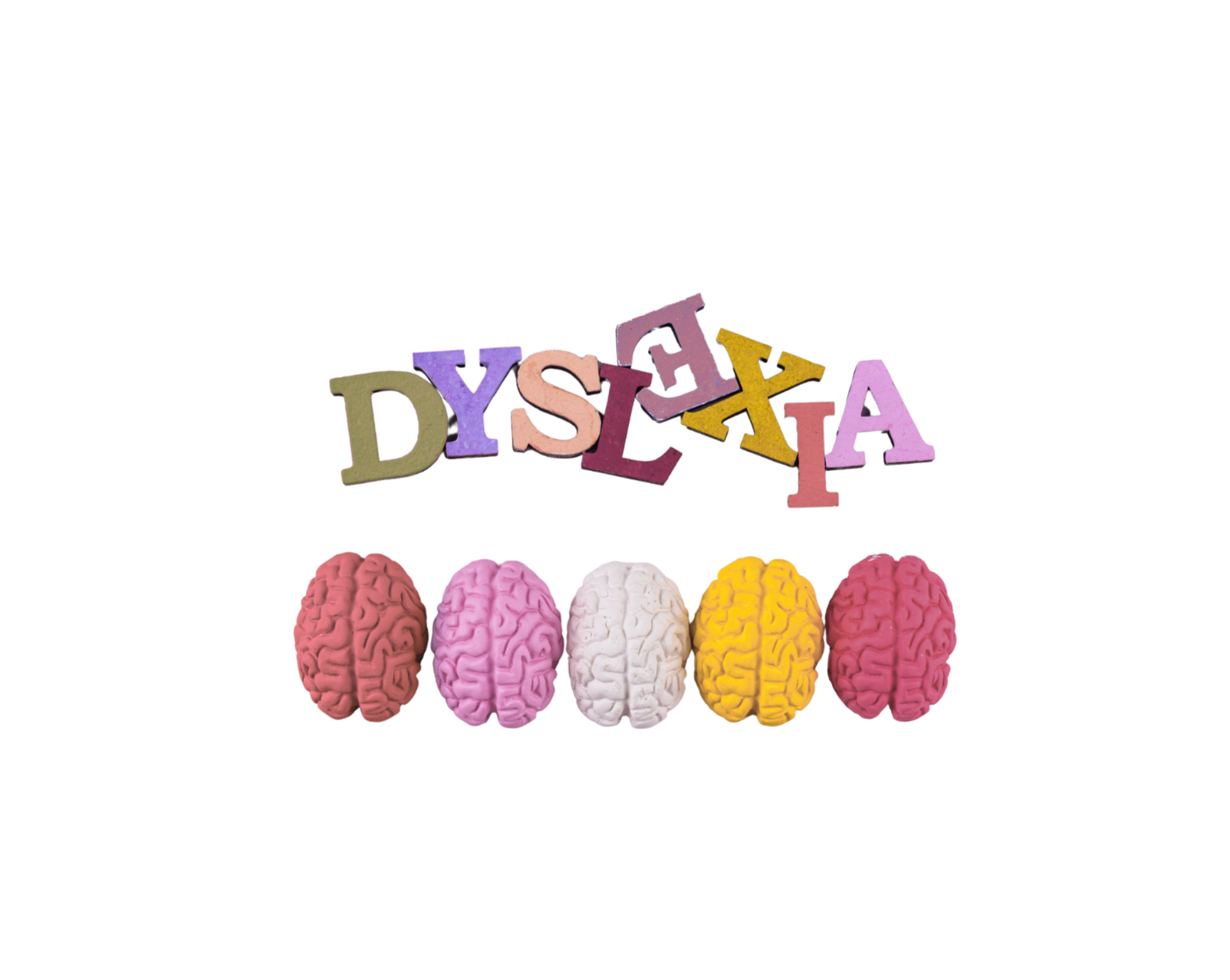 Dyslexia in Adults: What It Is, How It Shows Up, and Who It Co-occurs With