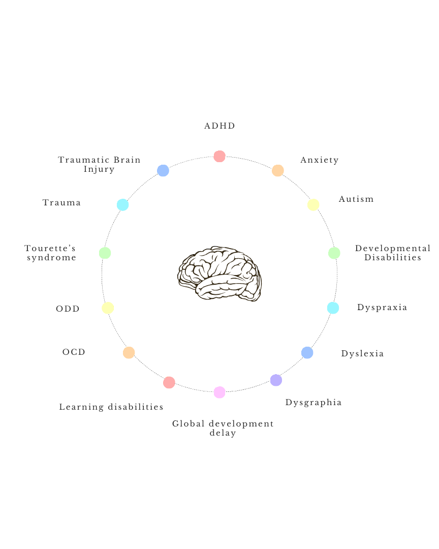 Neurodivergent identities diagram created by Neurodiversity Wellness Collective, showing ADHD, autism, dyslexia, dyspraxia, OCD, ODD, anxiety, trauma, Tourette syndrome, learning disabilities, and developmental disabilities.