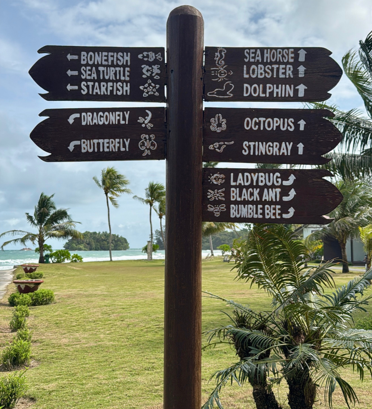 Directional signpost symbolizing third-culture identity, cross-cultural transitions, and navigating belonging across cultures, representing counselling support for adults exploring identity and life transitions at Neurodiversity Wellness Collective