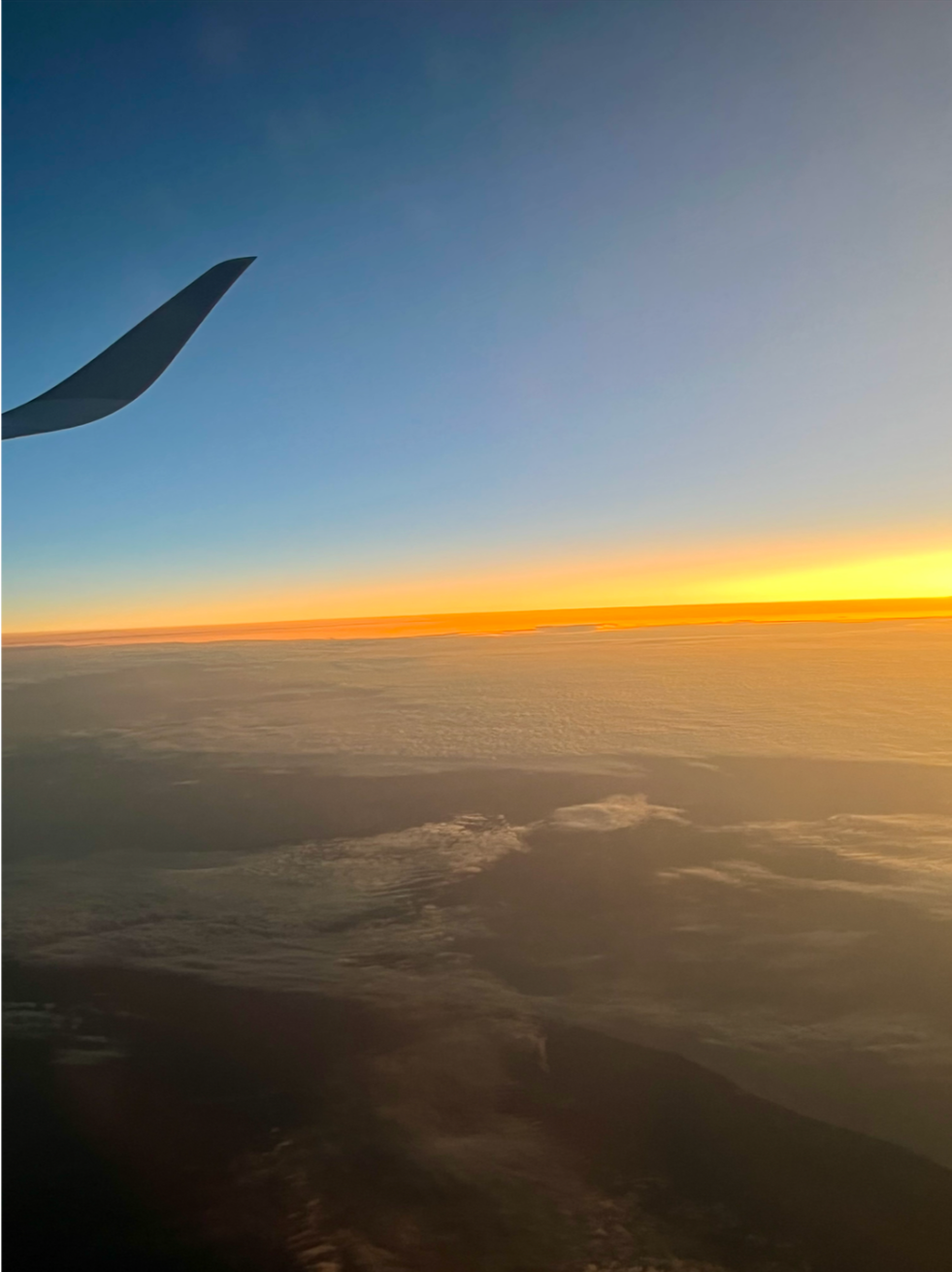 Airplane wing above clouds at sunrise, symbolizing the emotional journey of immigration, transition, and new beginnings supported through immigration counselling.