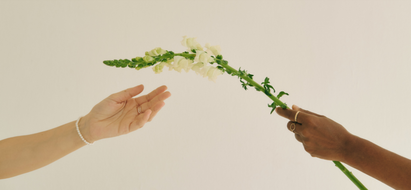 Two hands reaching toward a flower, representing empathy, acceptance, connection, and person-centred therapy at Neurodiversity Wellness Collective.