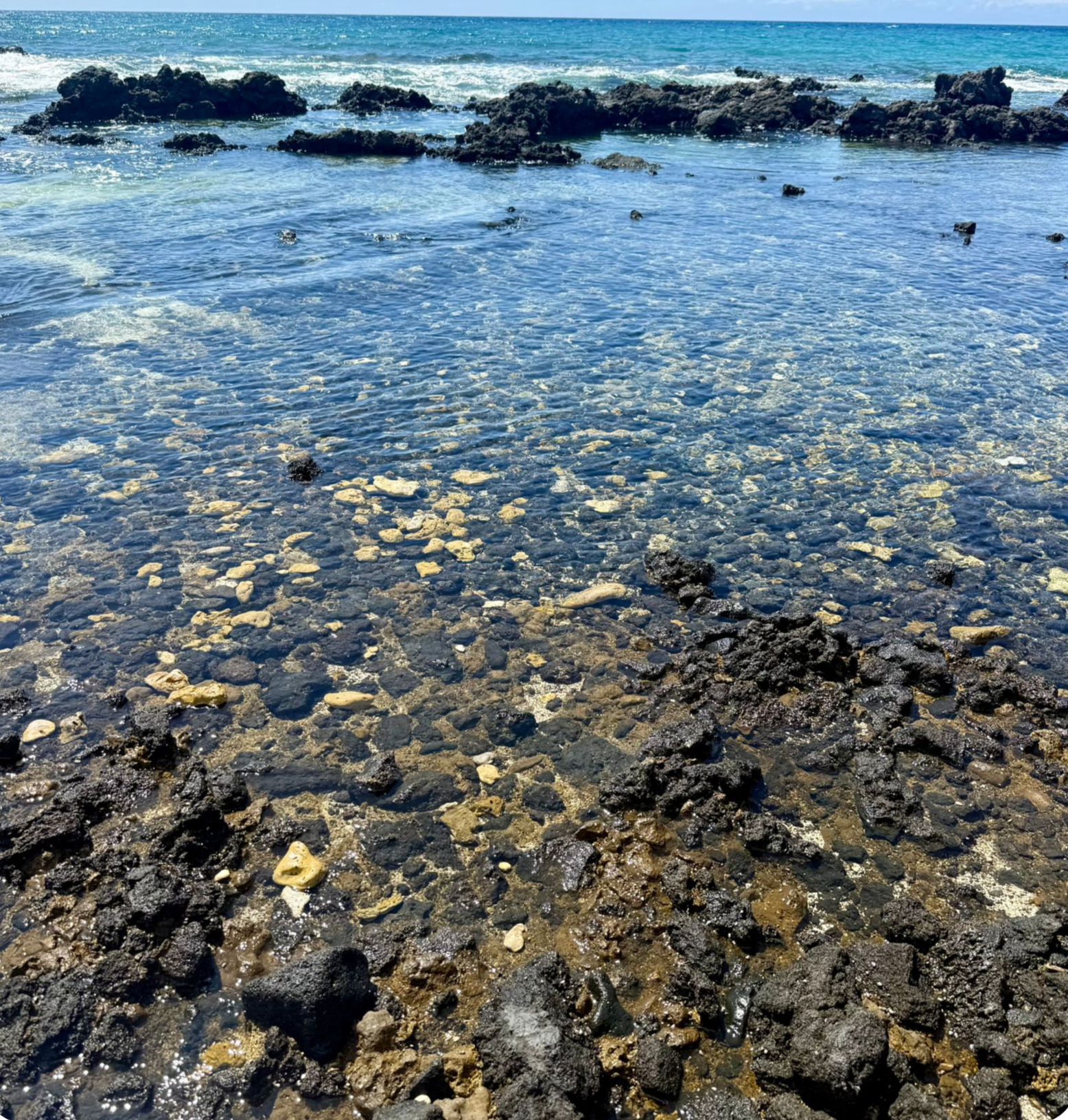 Clear shallow water over a rocky shoreline, accompanying a section on neurodivergent experiences at Neurodiversity Wellness Collective — affirming counselling for adults across BC and Canada.