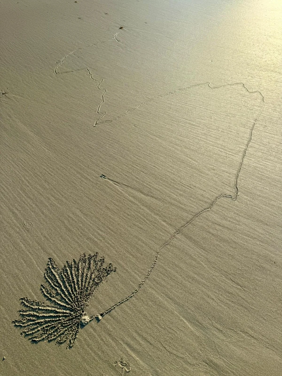 Gentle sand pattern created by the tide, symbolizing the calming process of navigating anxiety through neurodiversity-affirming counselling and psychotherapy in Canada.