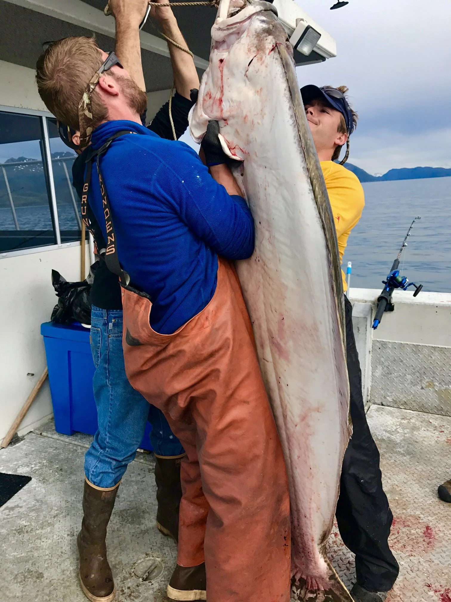 We estimated this fish was near 300 lbs!