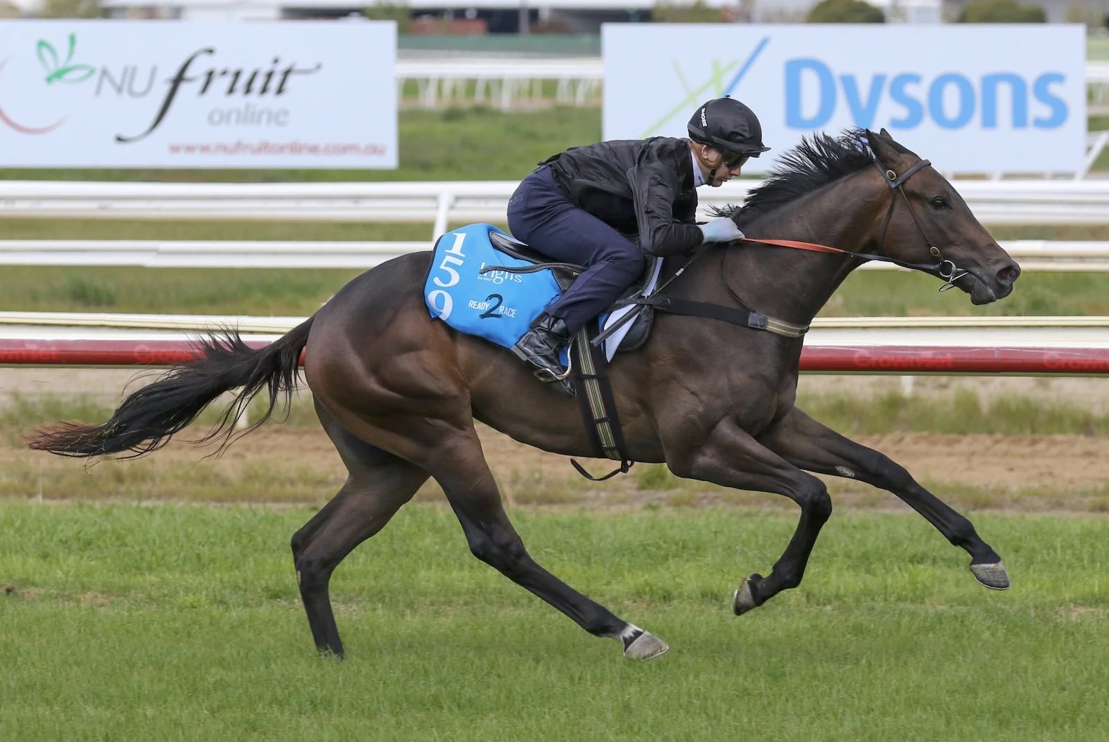 Run Run Sunrise adds to HKJC winners tally