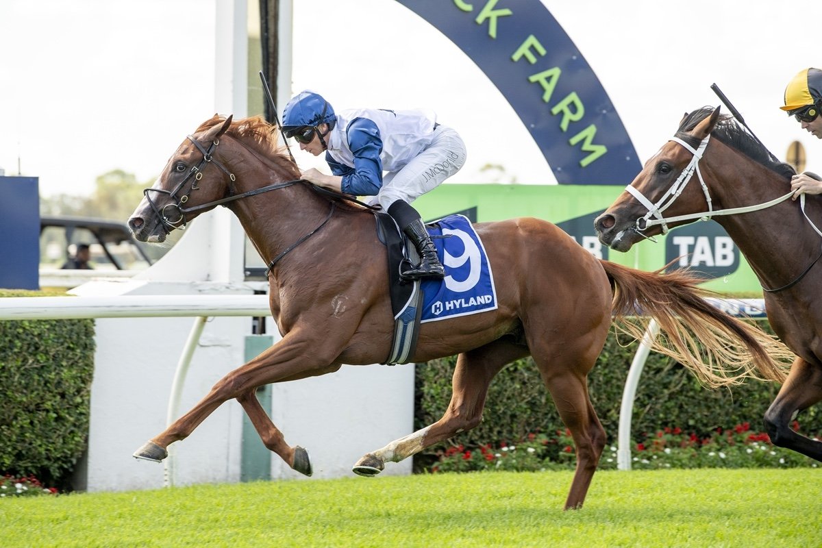 Seraphox adds name to metro winning graduates