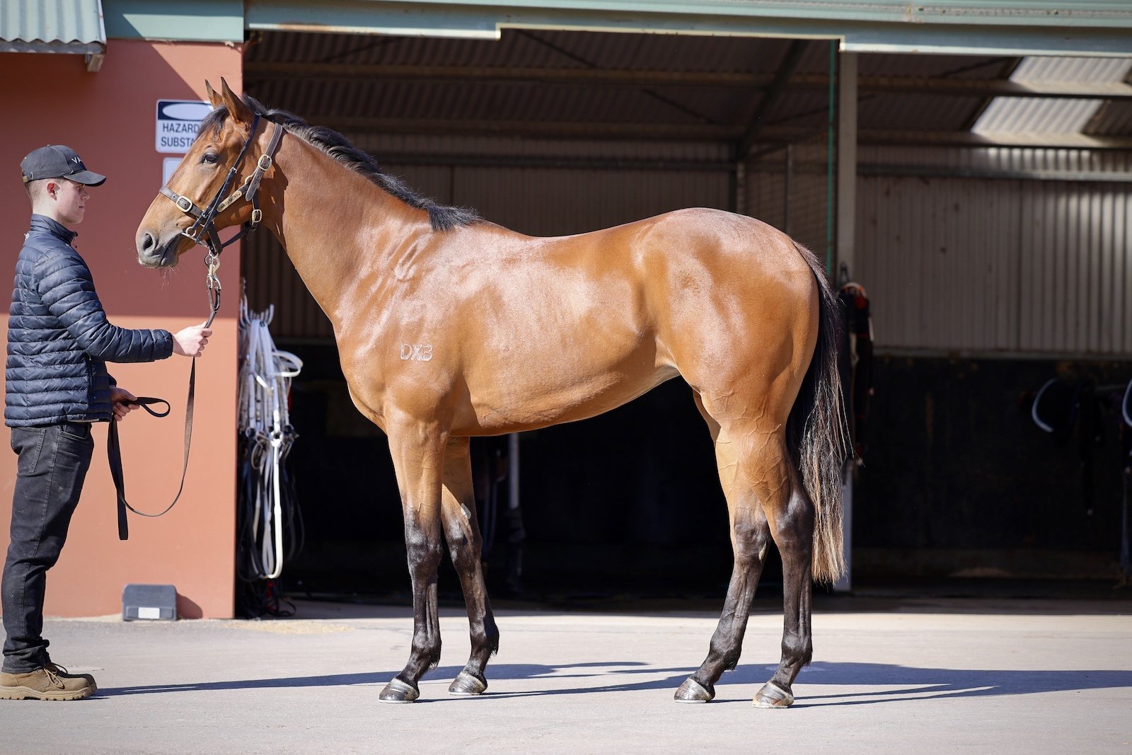 25BAY-Social_R2RLot 8.jpg