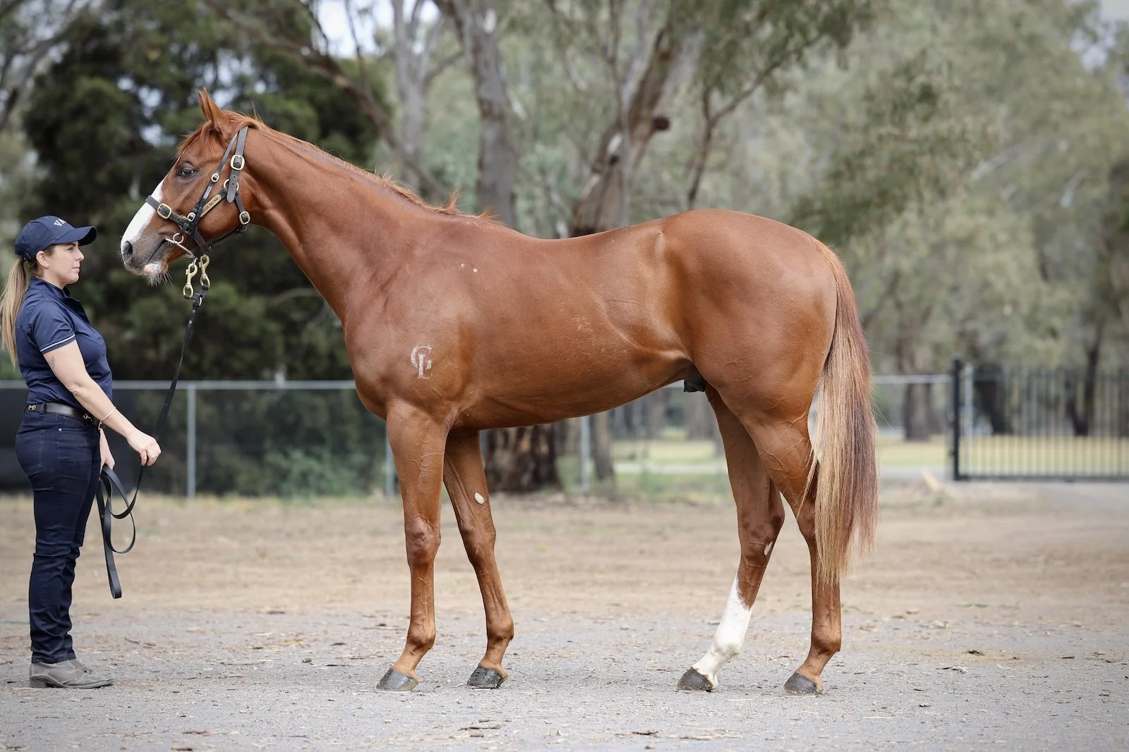 25BAY-Social_R2RLot 16.jpg