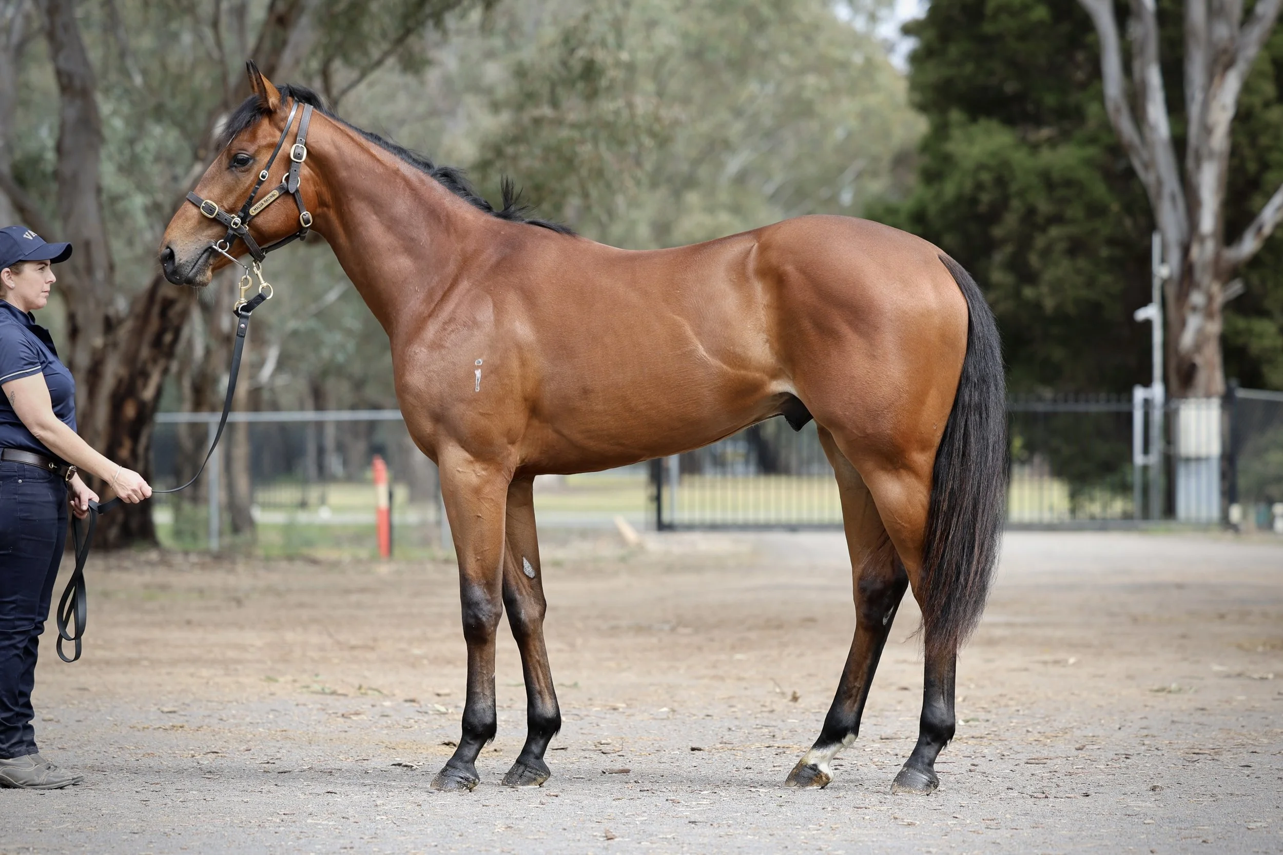 25BAY-Social_R2RLot 41.jpg