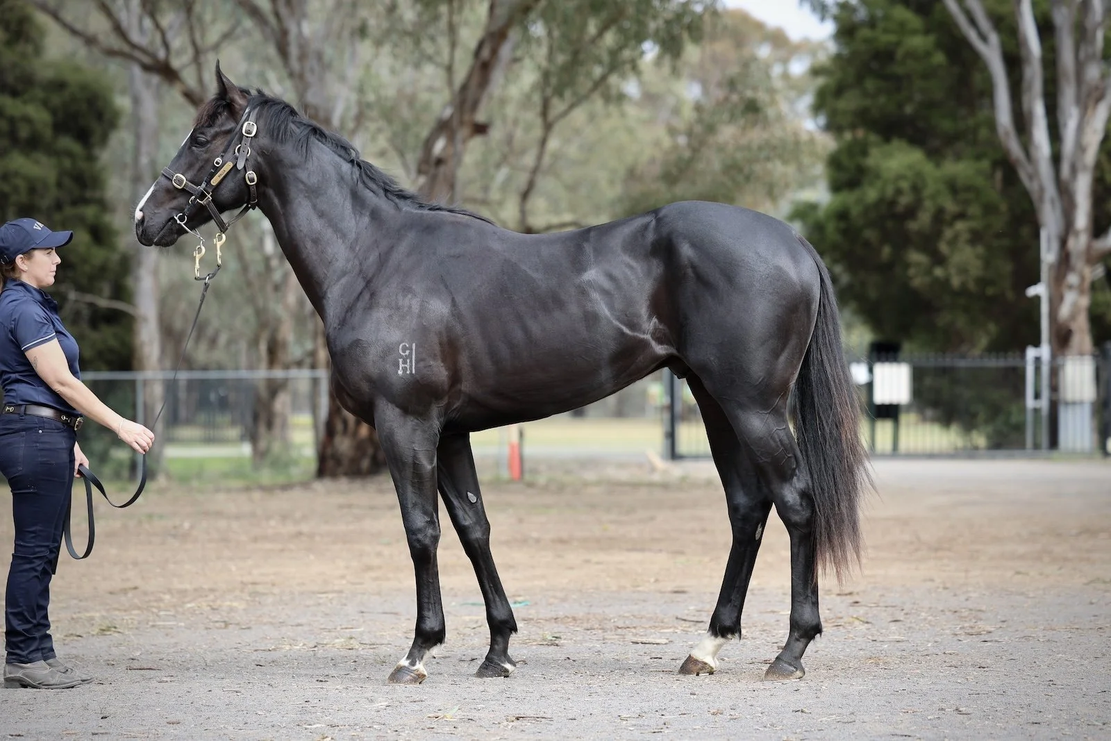 25BAY-Social_R2RLot 25.jpg