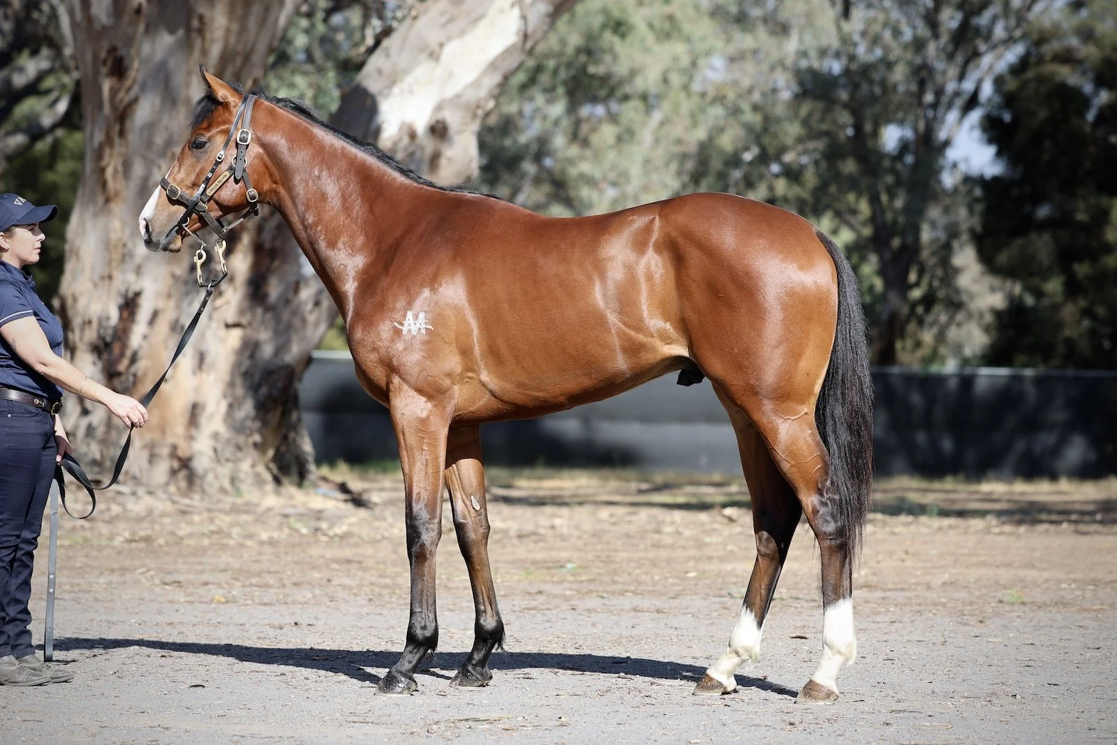 25BAY-Social_R2RLot 48.jpg