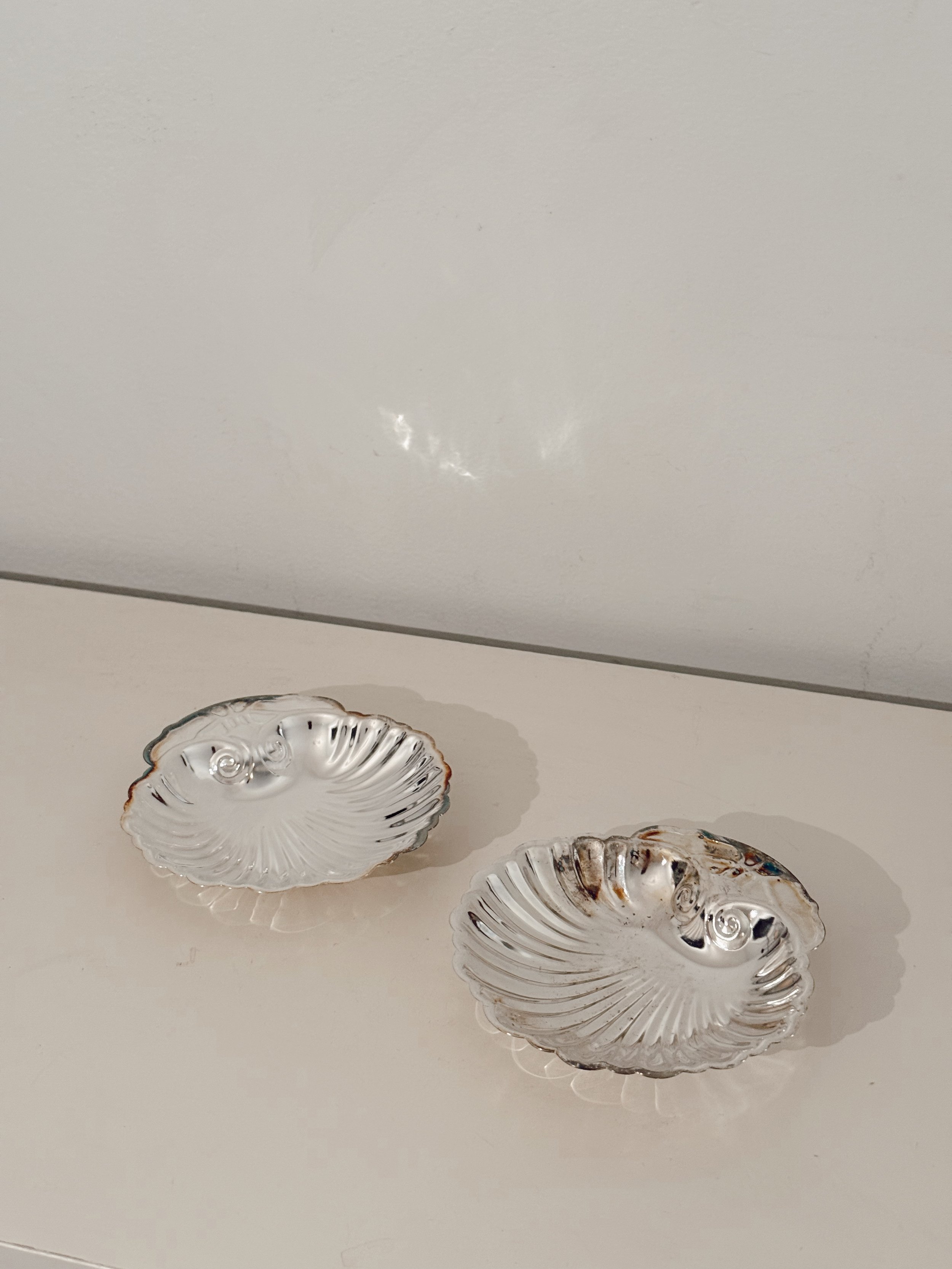 Shell Dishes