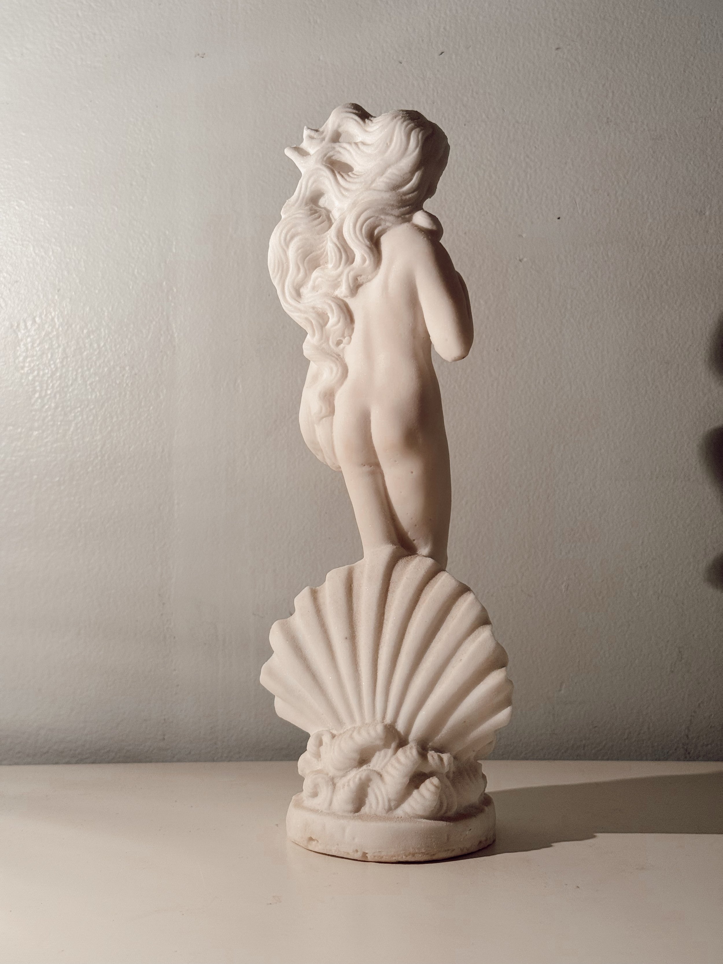 venus3.jpg