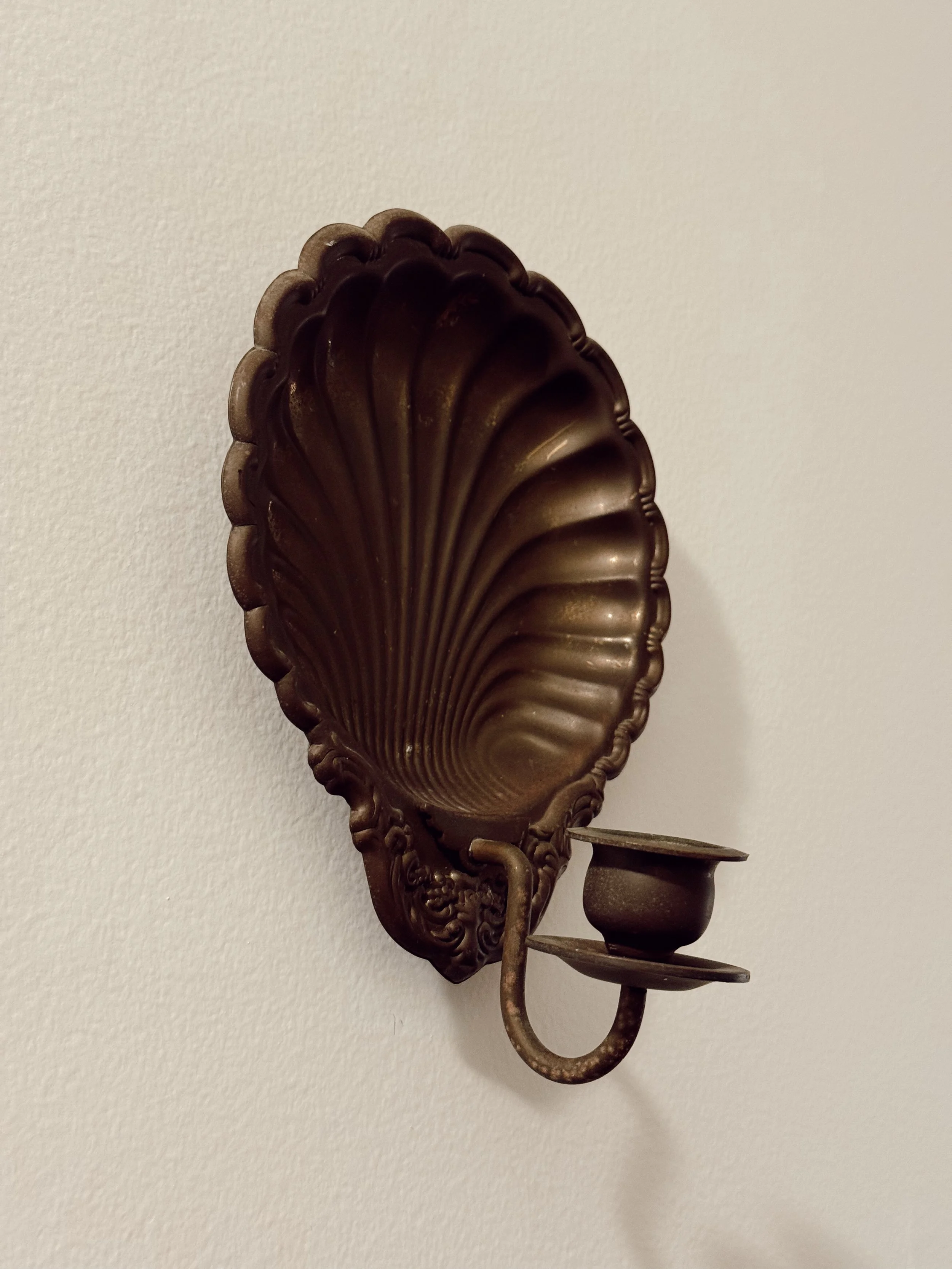 Clamshell Candle Sconce
