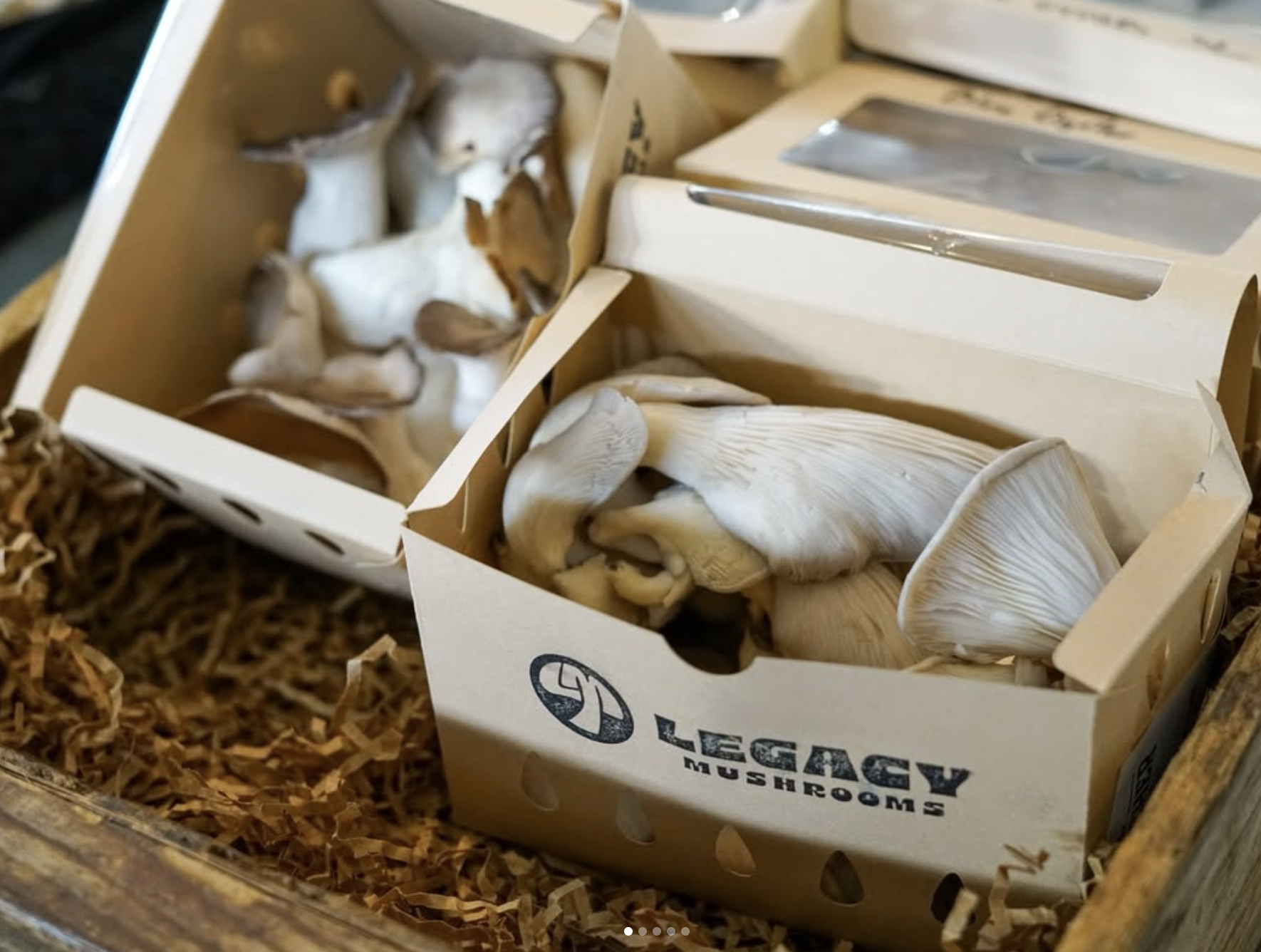 farm fresh mushrooms sunshine coast BC