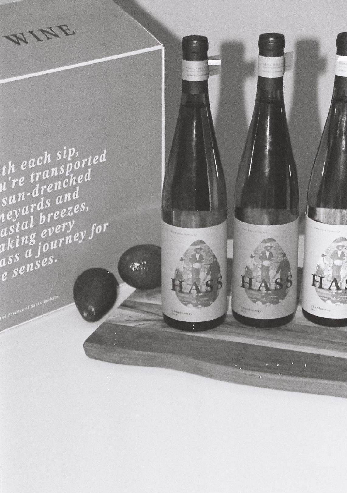 Hass Avocado Wine: Captured on 35mm film - behind the scenes of photoshoot.