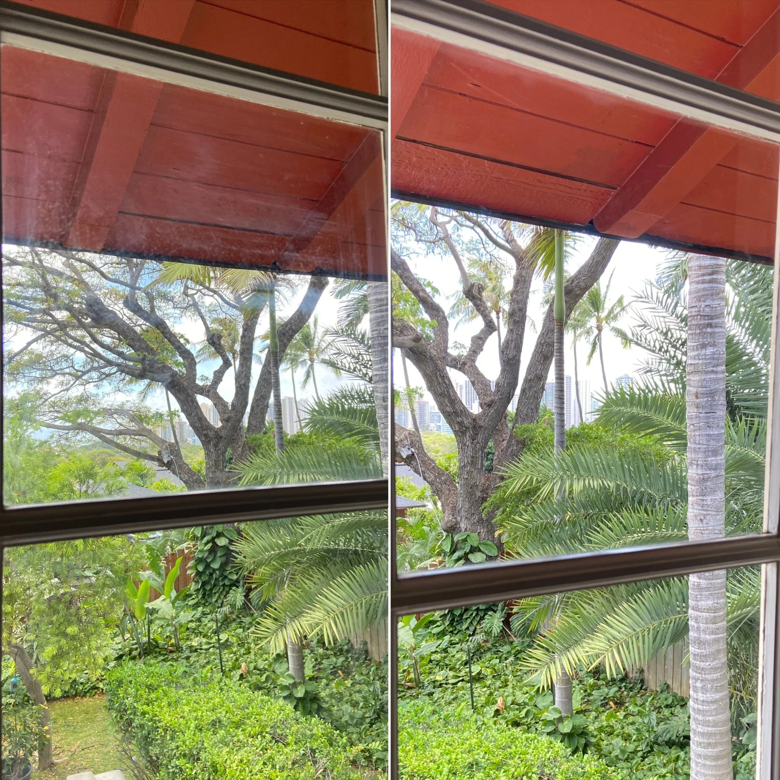 View of a lush garden with trees, bushes, and palm trees through a window with brown wooden panels and sliding glass panes.
